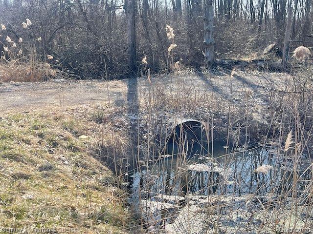 Vacanat Wahrman Property Photo 4