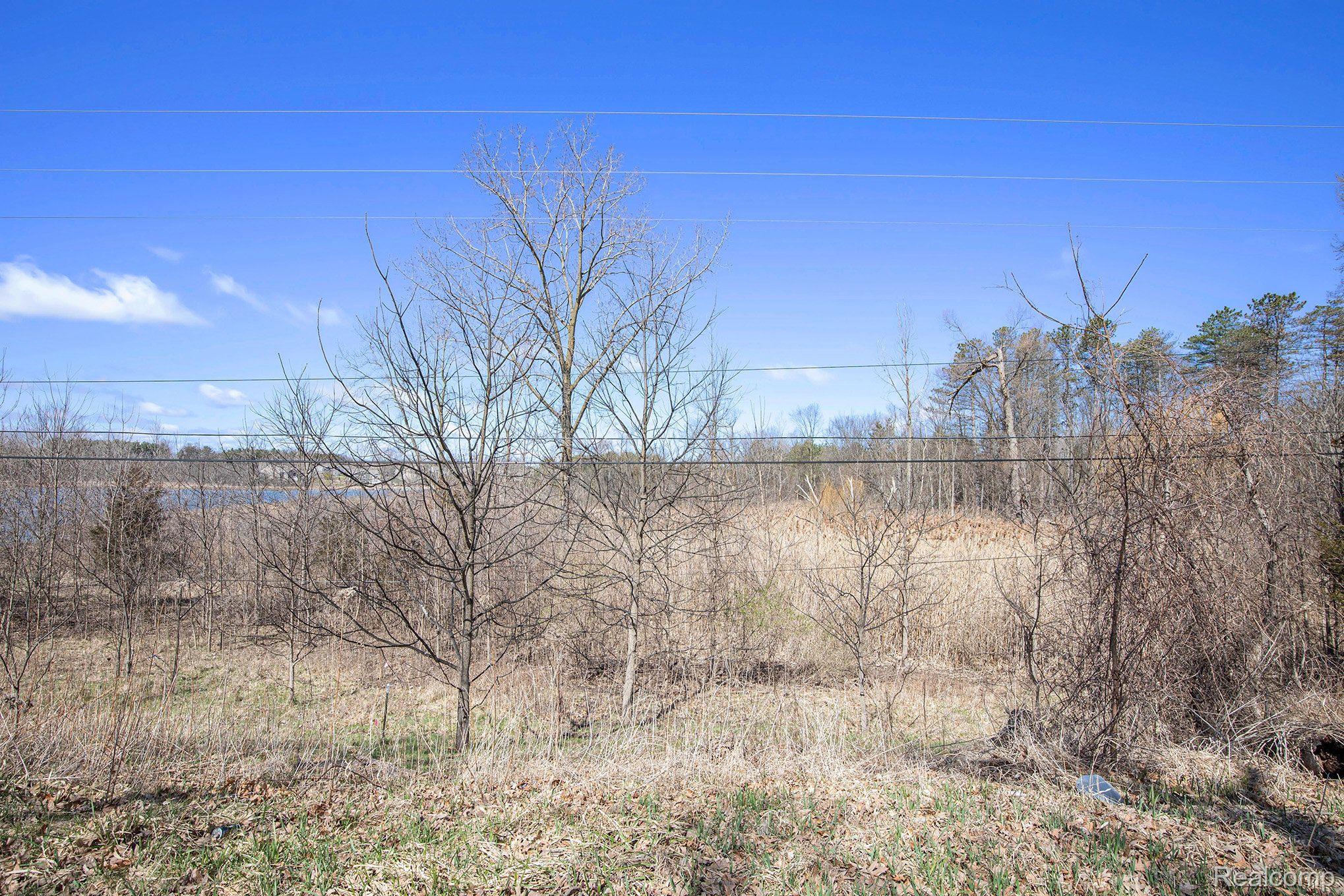 02 Butcher Rd Property Photo 13