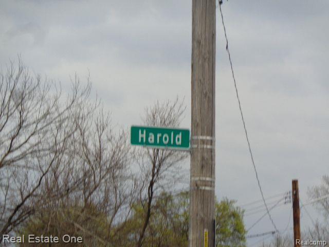 5678 Harold St Property Photo 5