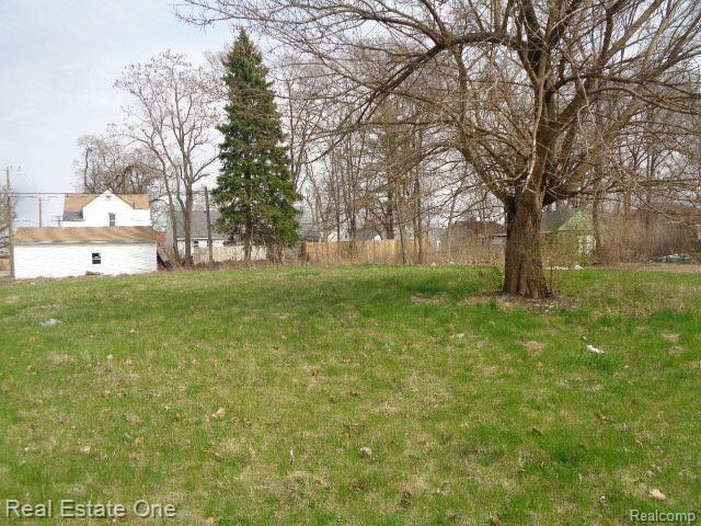 12940 Dwyer St Property Photo 4