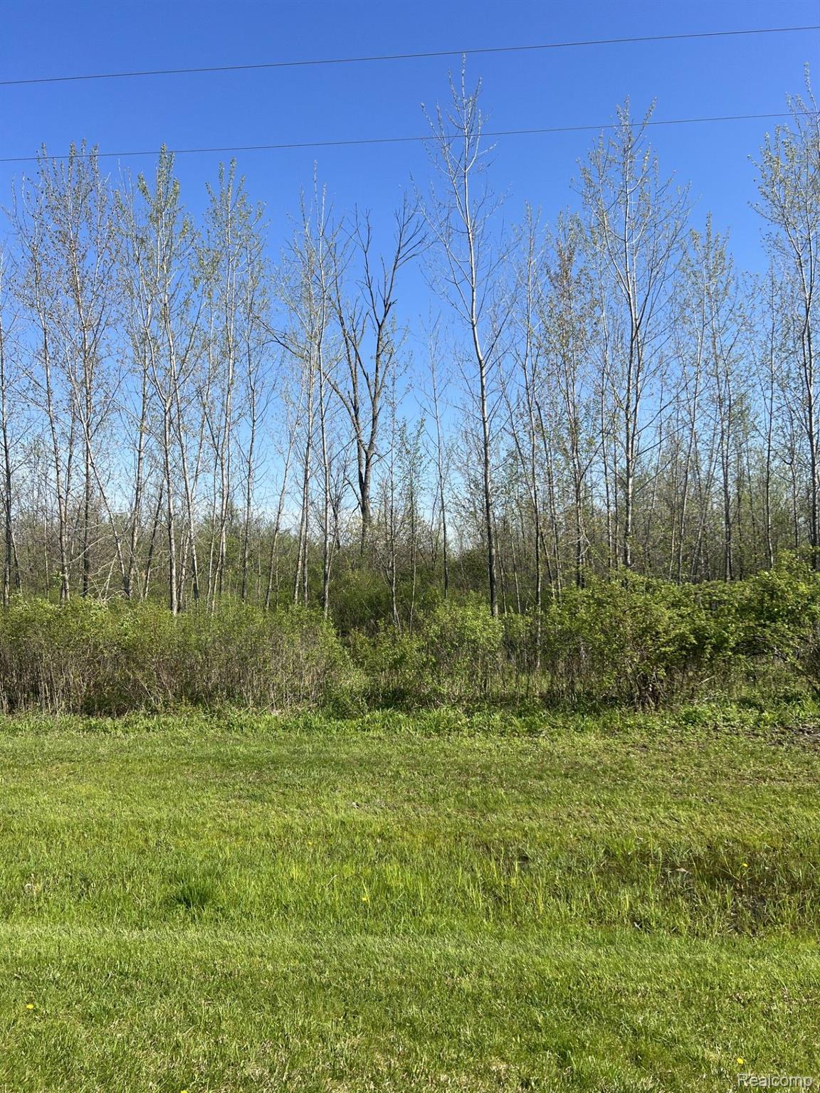 Vl Turtle Lake Rd Property Photo 2