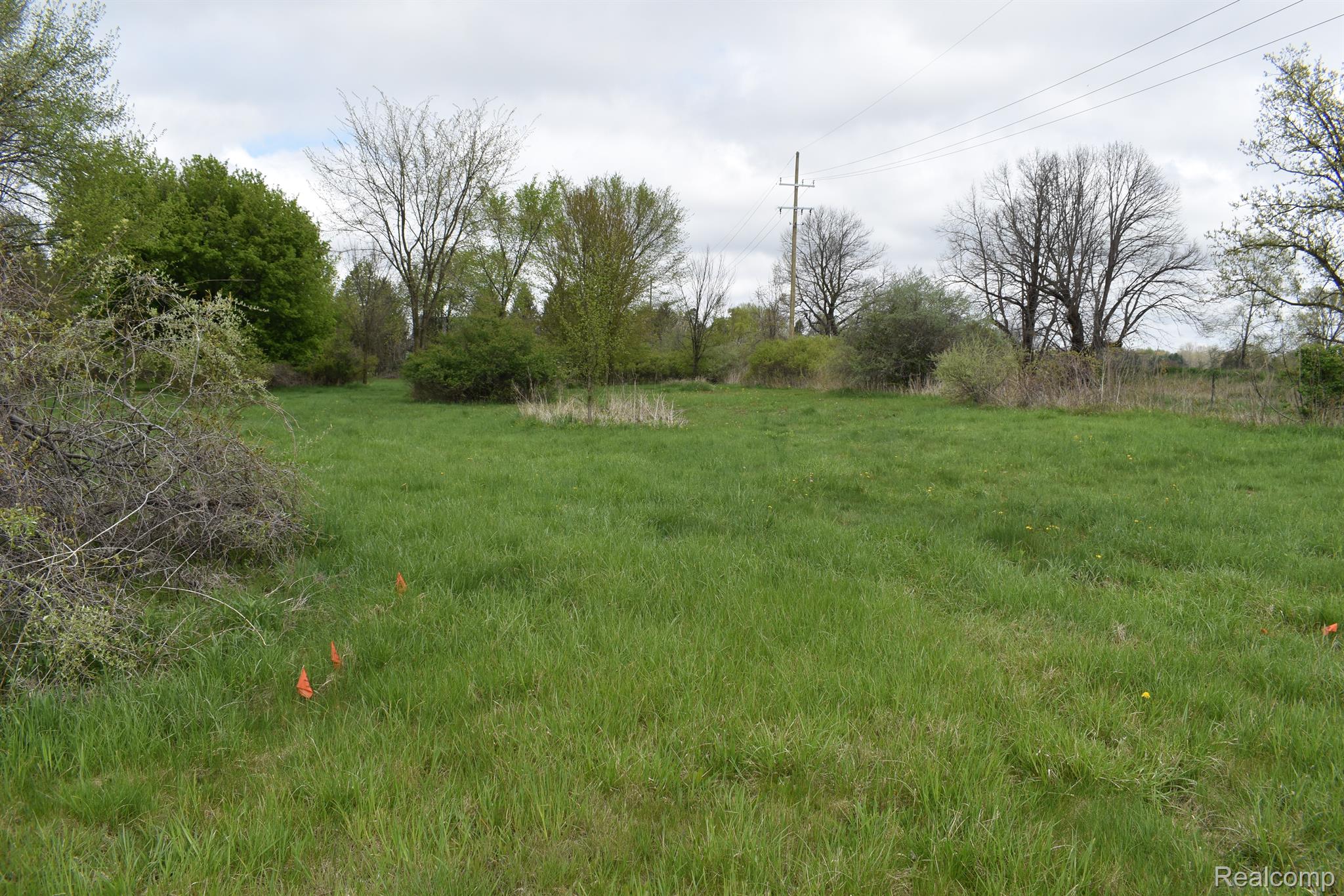 Vl Grand River Ave Property Photo 3