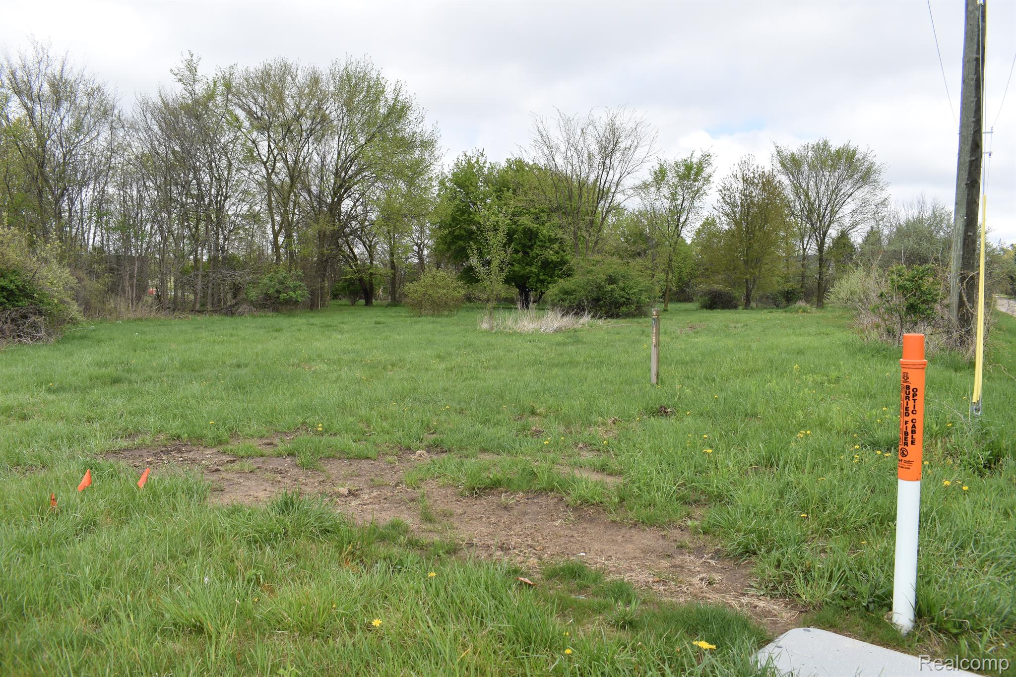 Vl Grand River Ave Property Photo 4