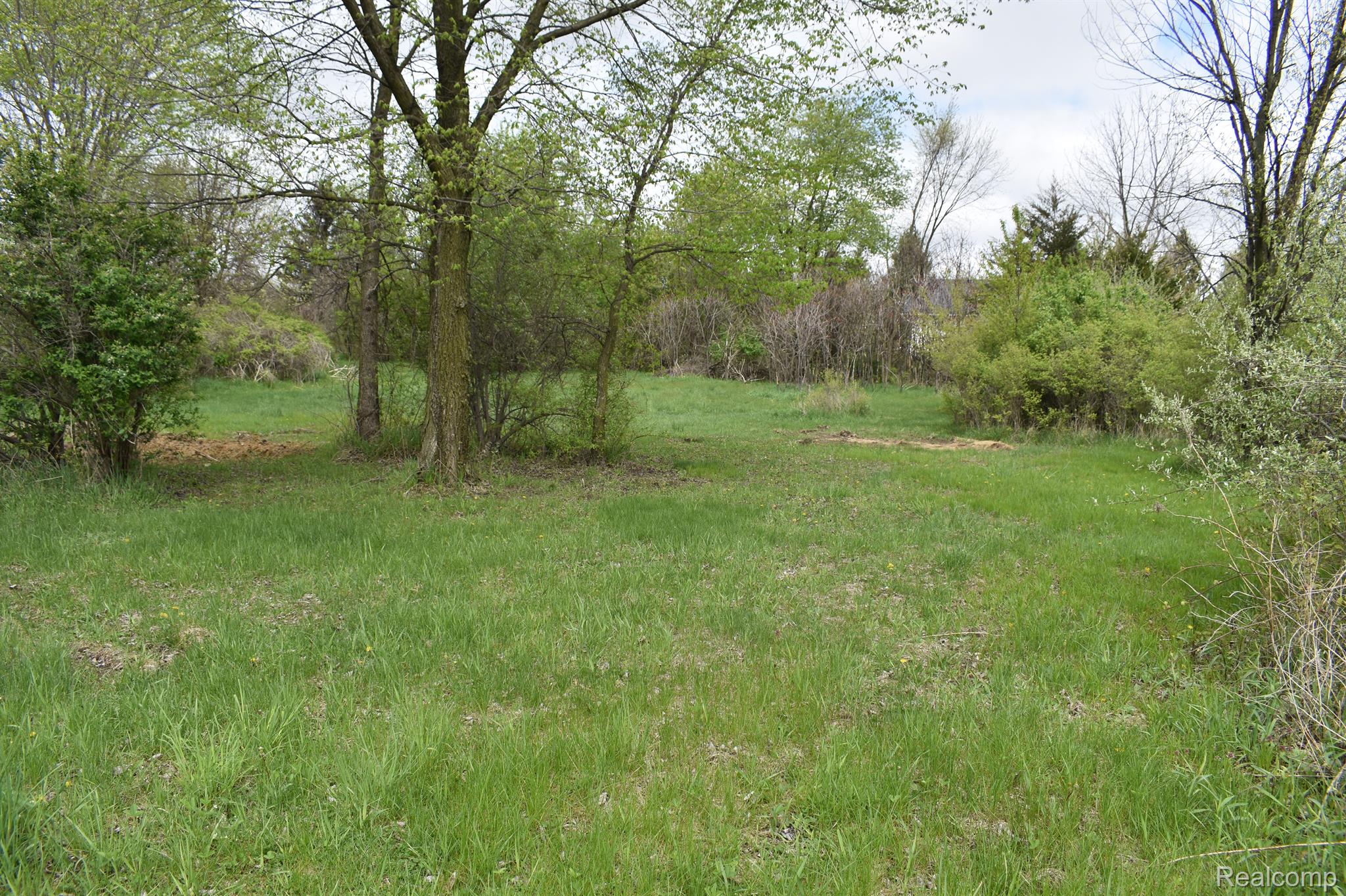 Vl Grand River Ave Property Photo 8
