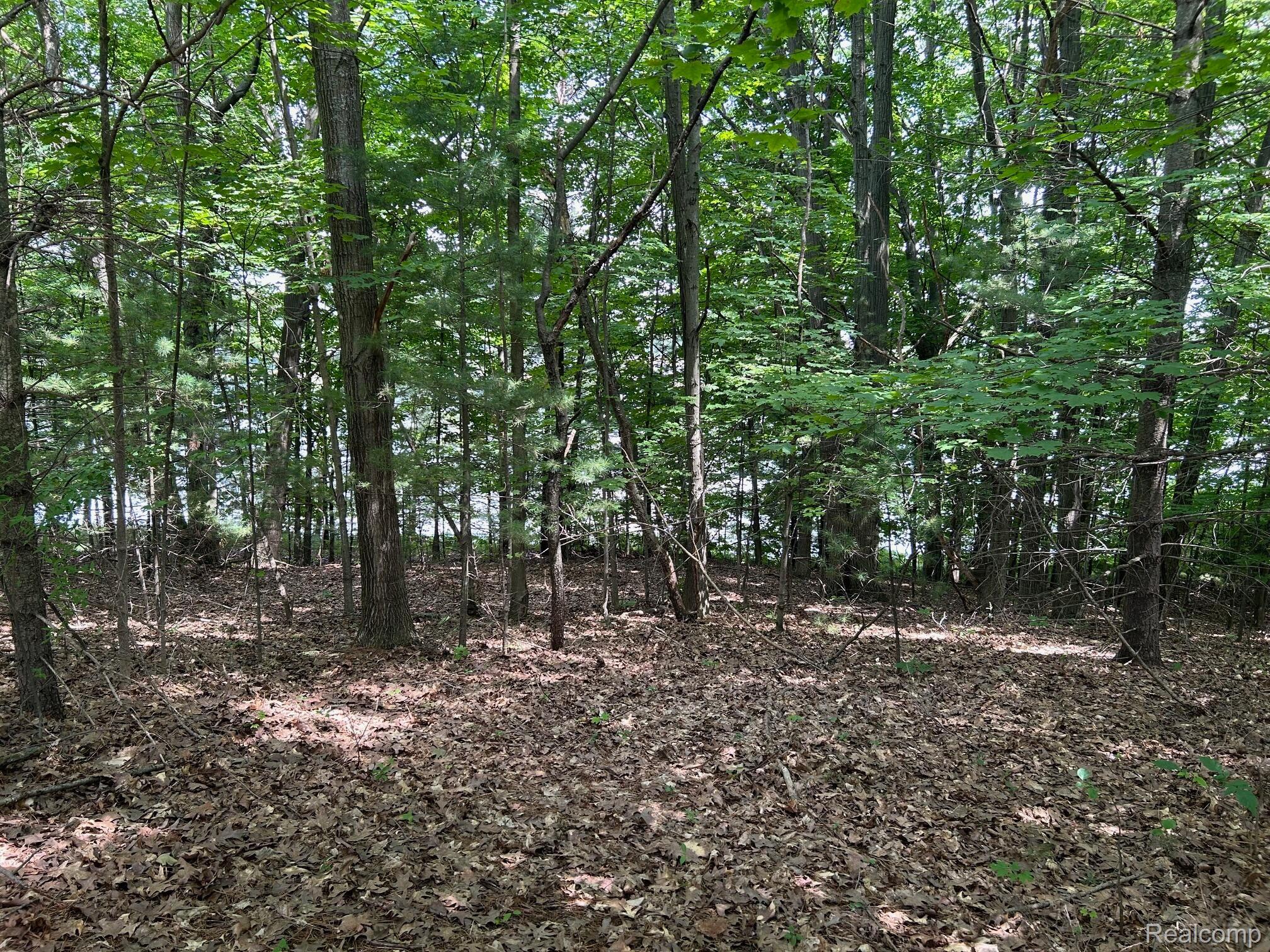 0 Traverse Way Property Photo 12