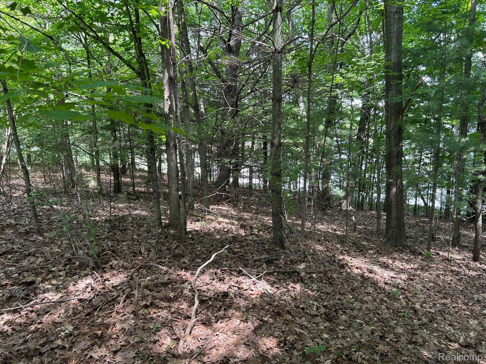 0 Traverse Way Property Photo 13