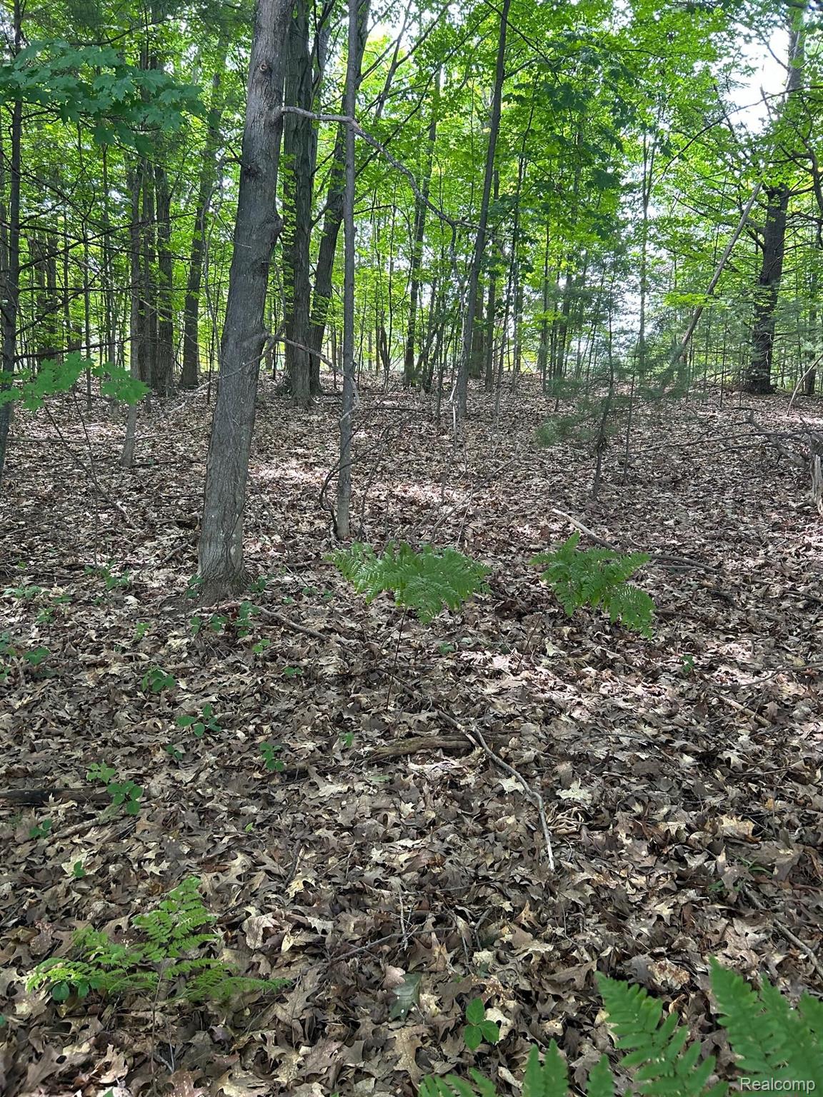 0 Traverse Way Property Photo 15