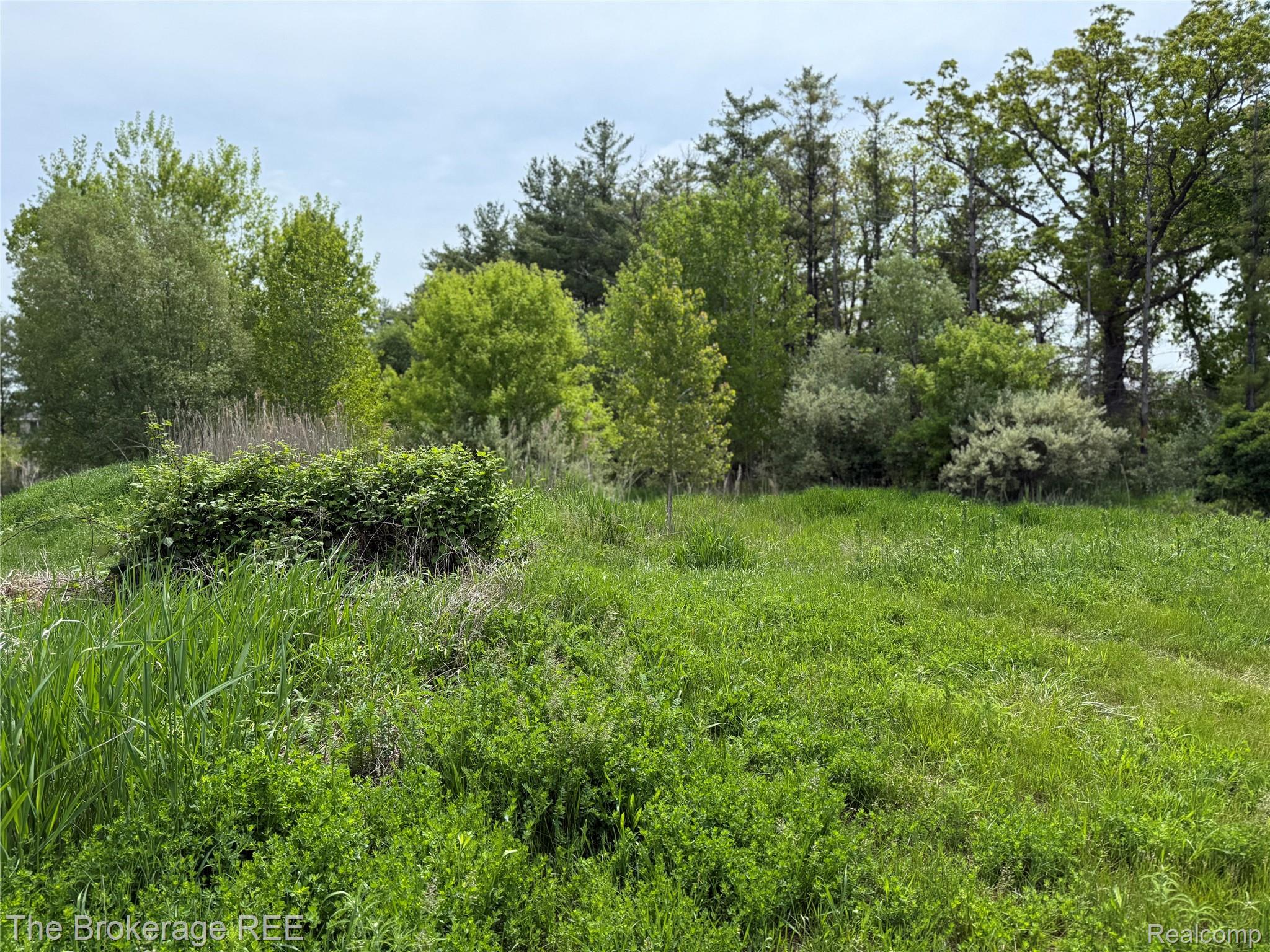 3020 Merwin Road Property Photo 10