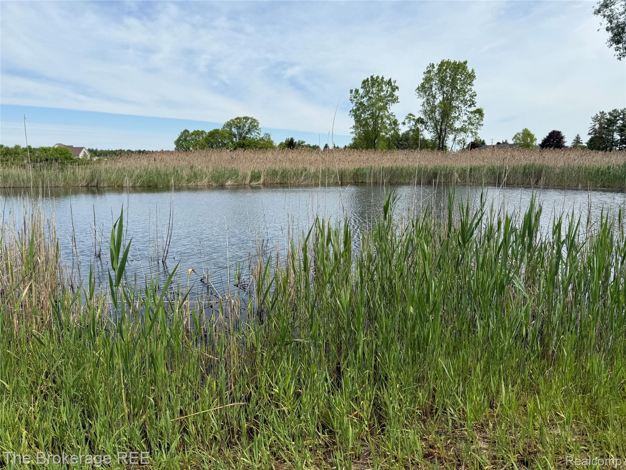 3020 Merwin Road Property Photo 13