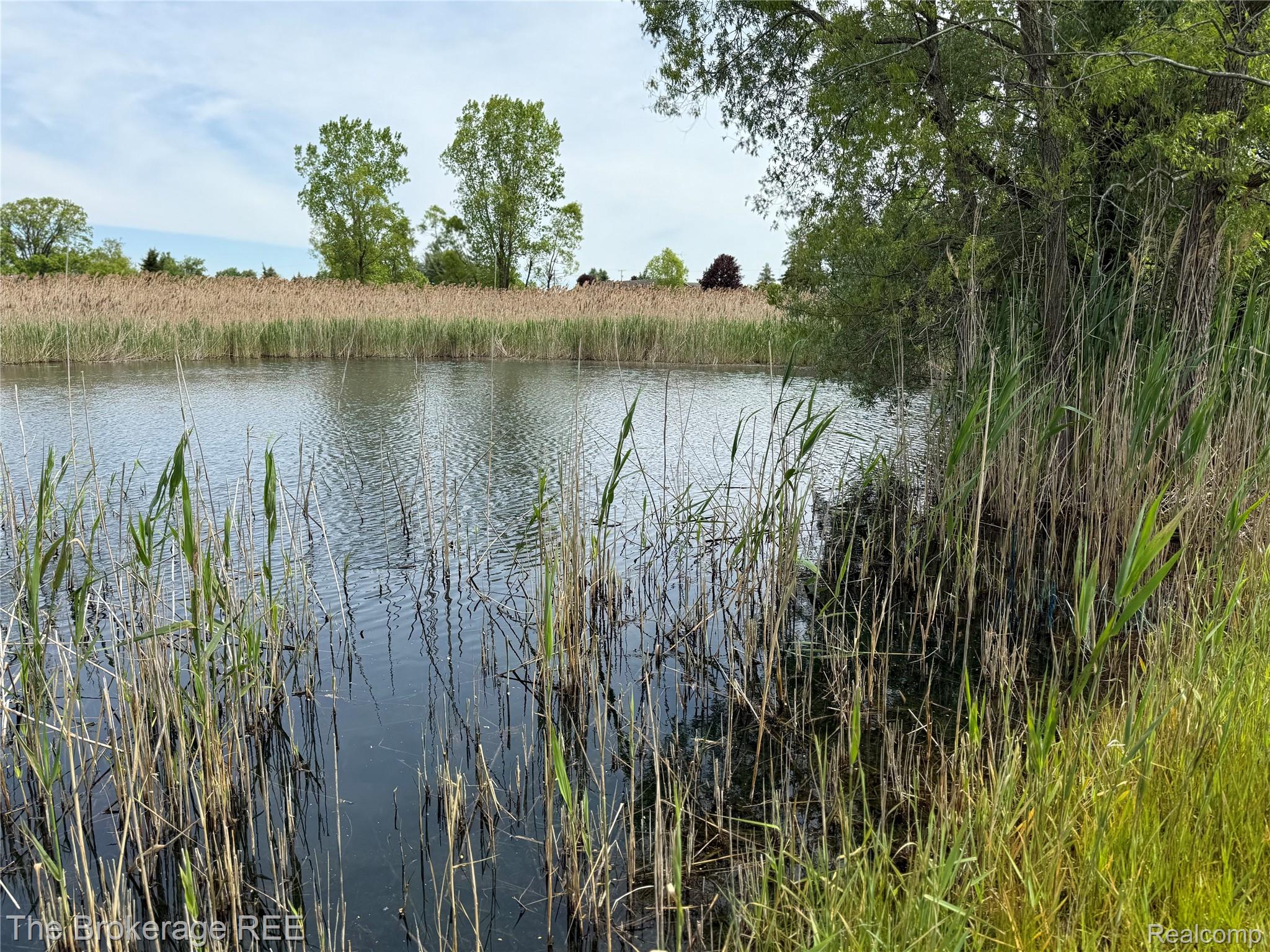 3020 Merwin Road Property Photo 18