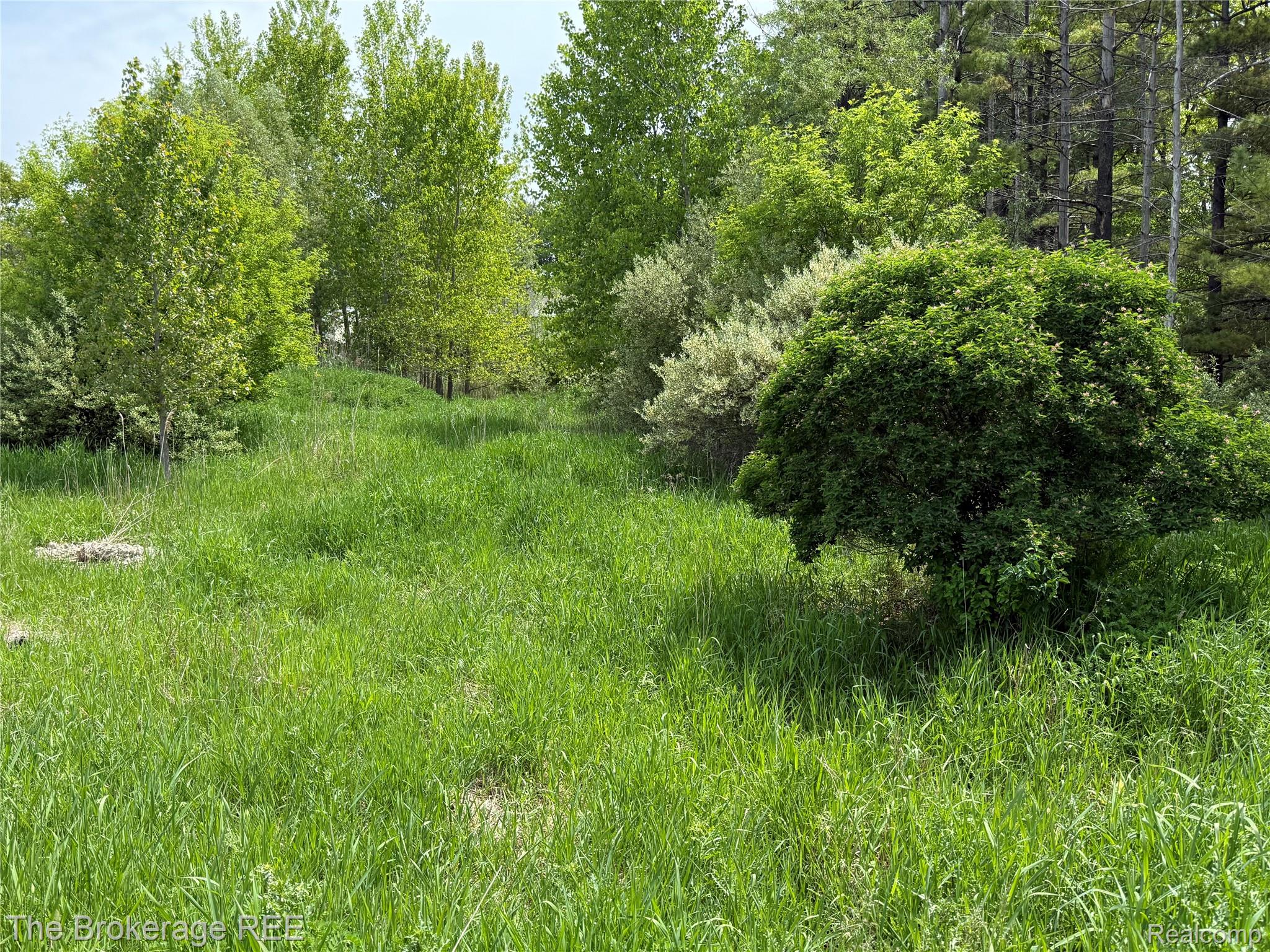 3020 Merwin Road Property Photo 25