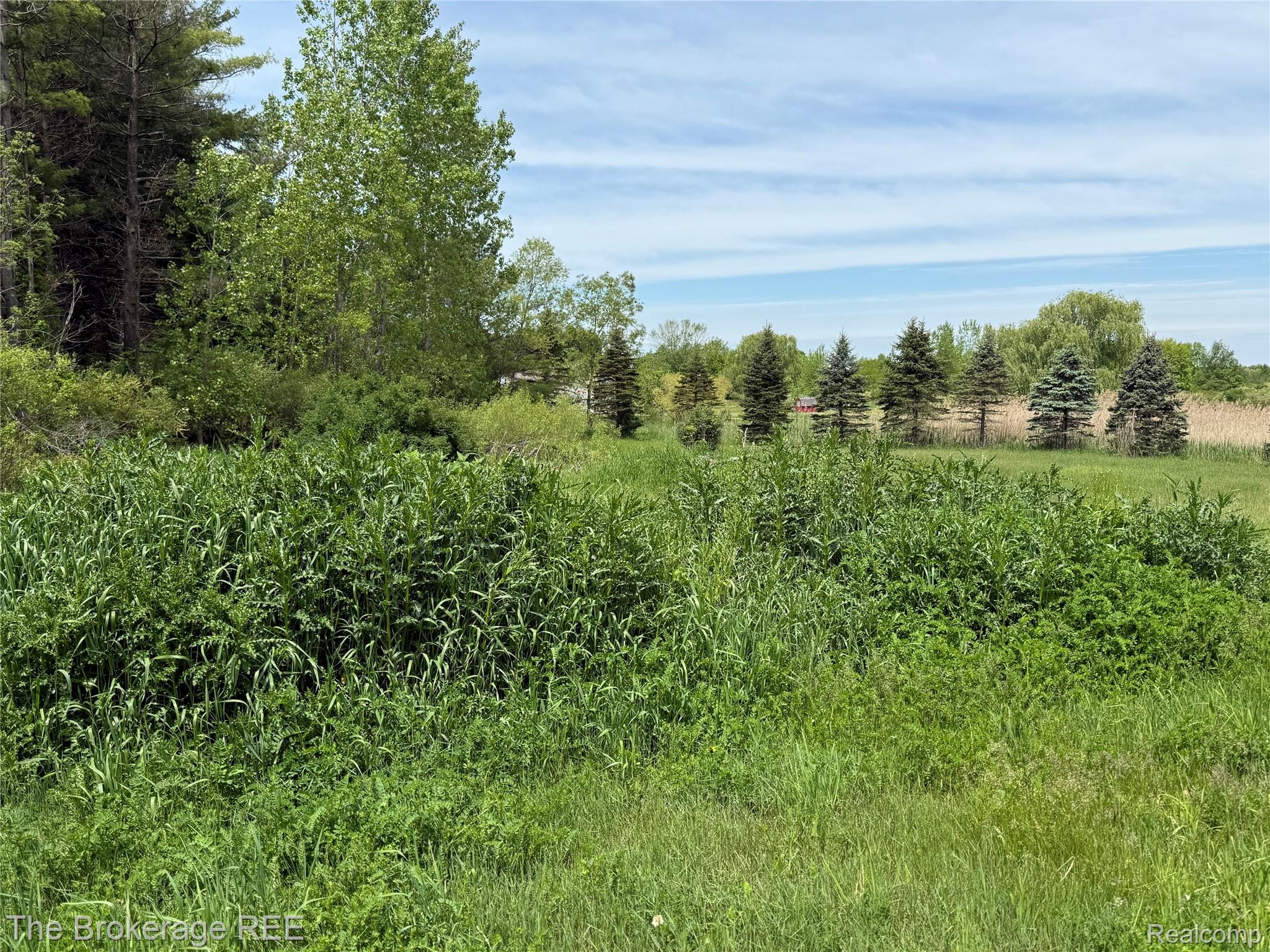 3020 Merwin Road Property Photo 27