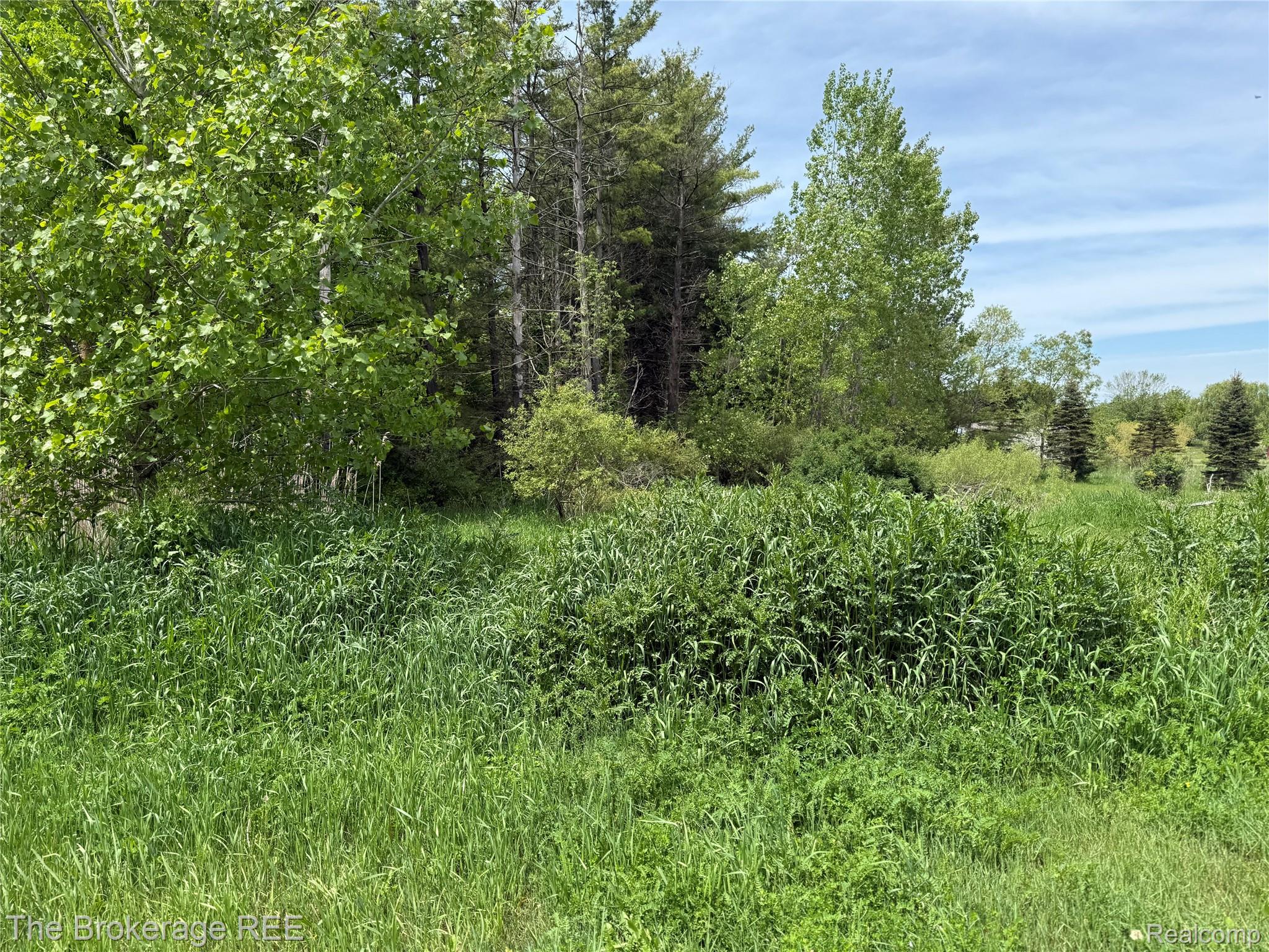 3020 Merwin Road Property Photo 28