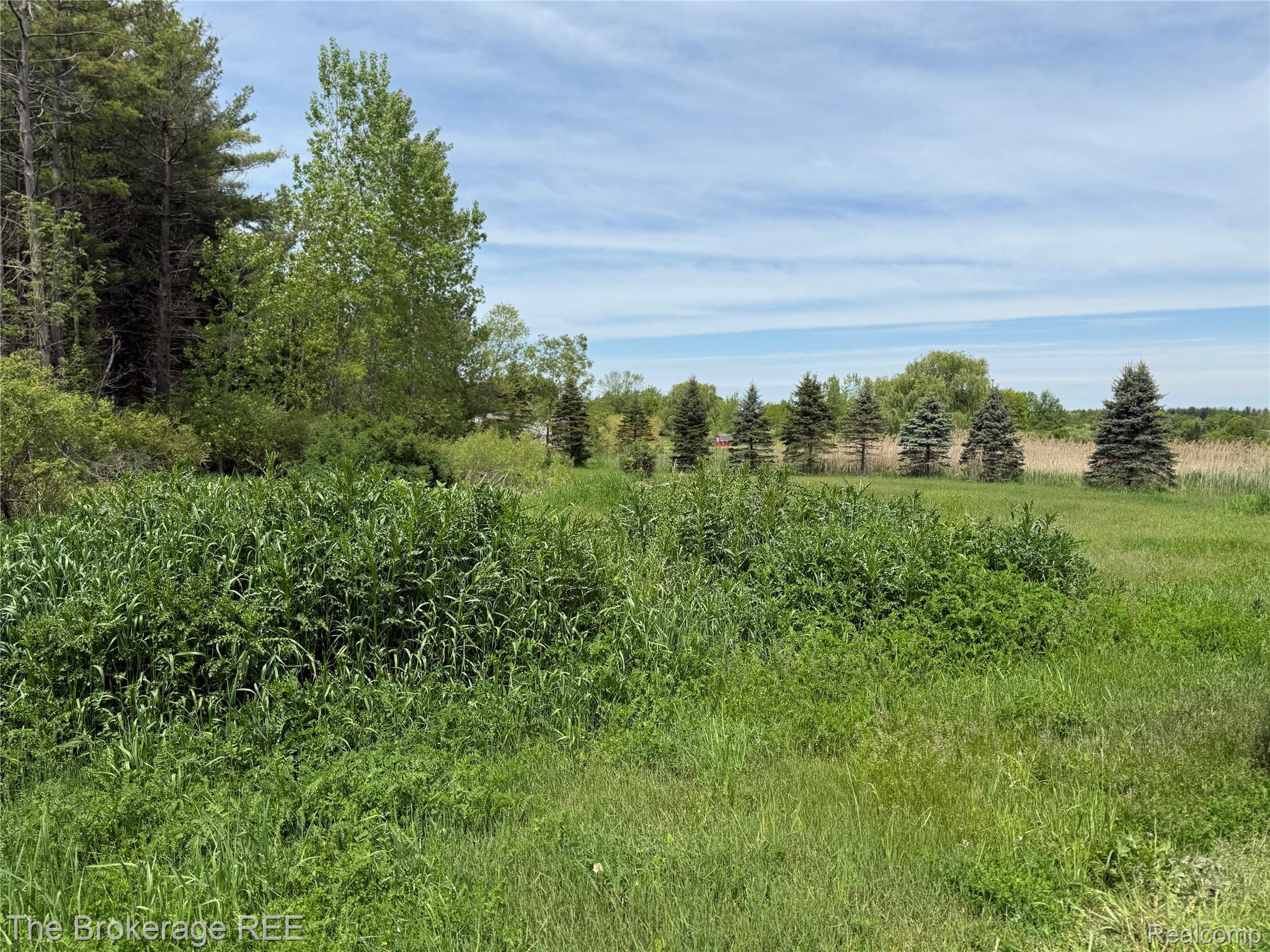 3020 Merwin Road Property Photo 29
