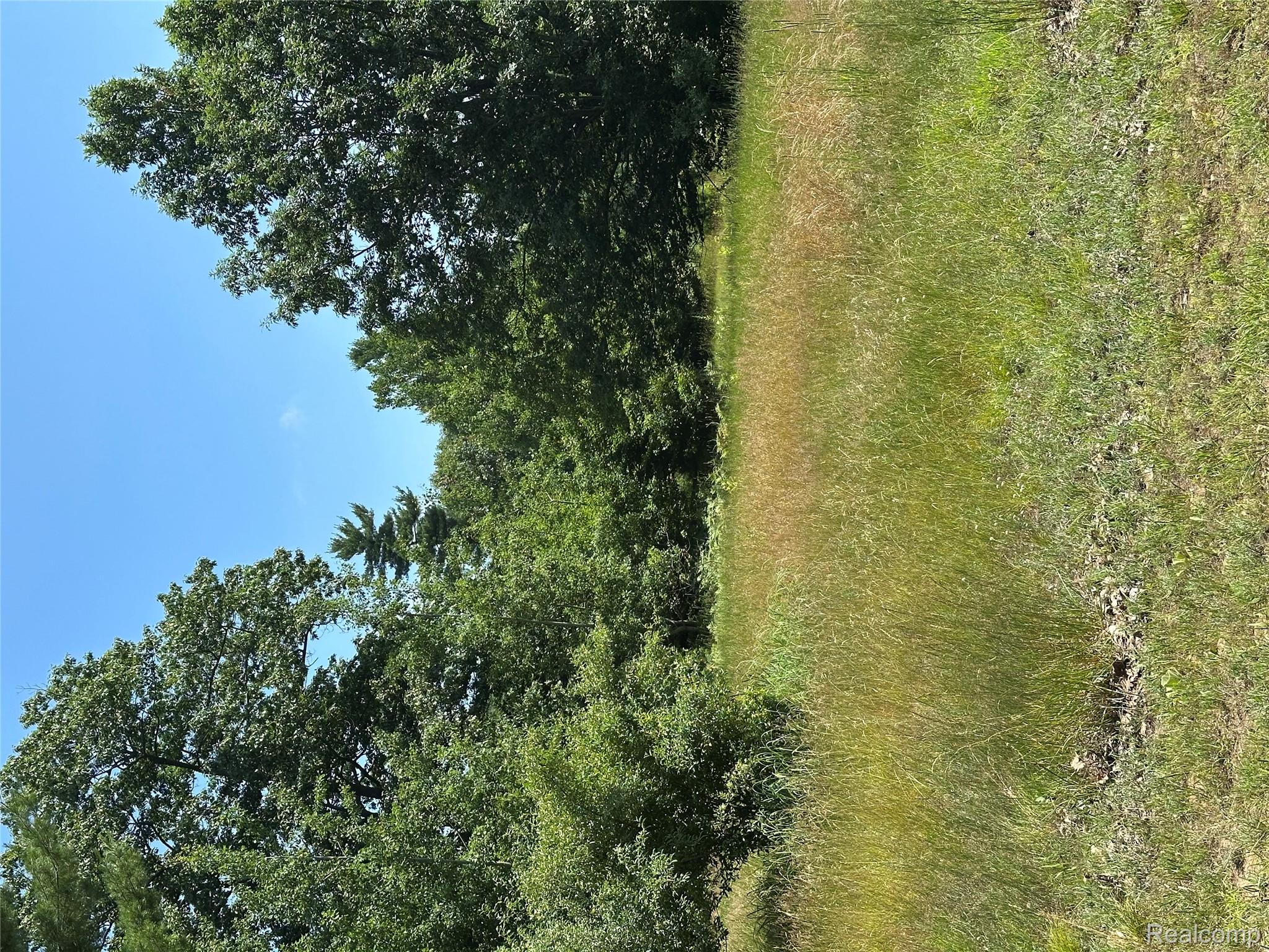77 E Starlight Ridge Circle Property Photo 6
