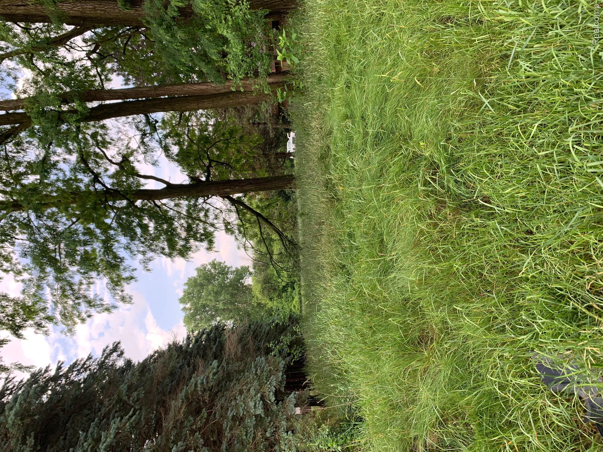0 Silver Lake Road Property Photo 2