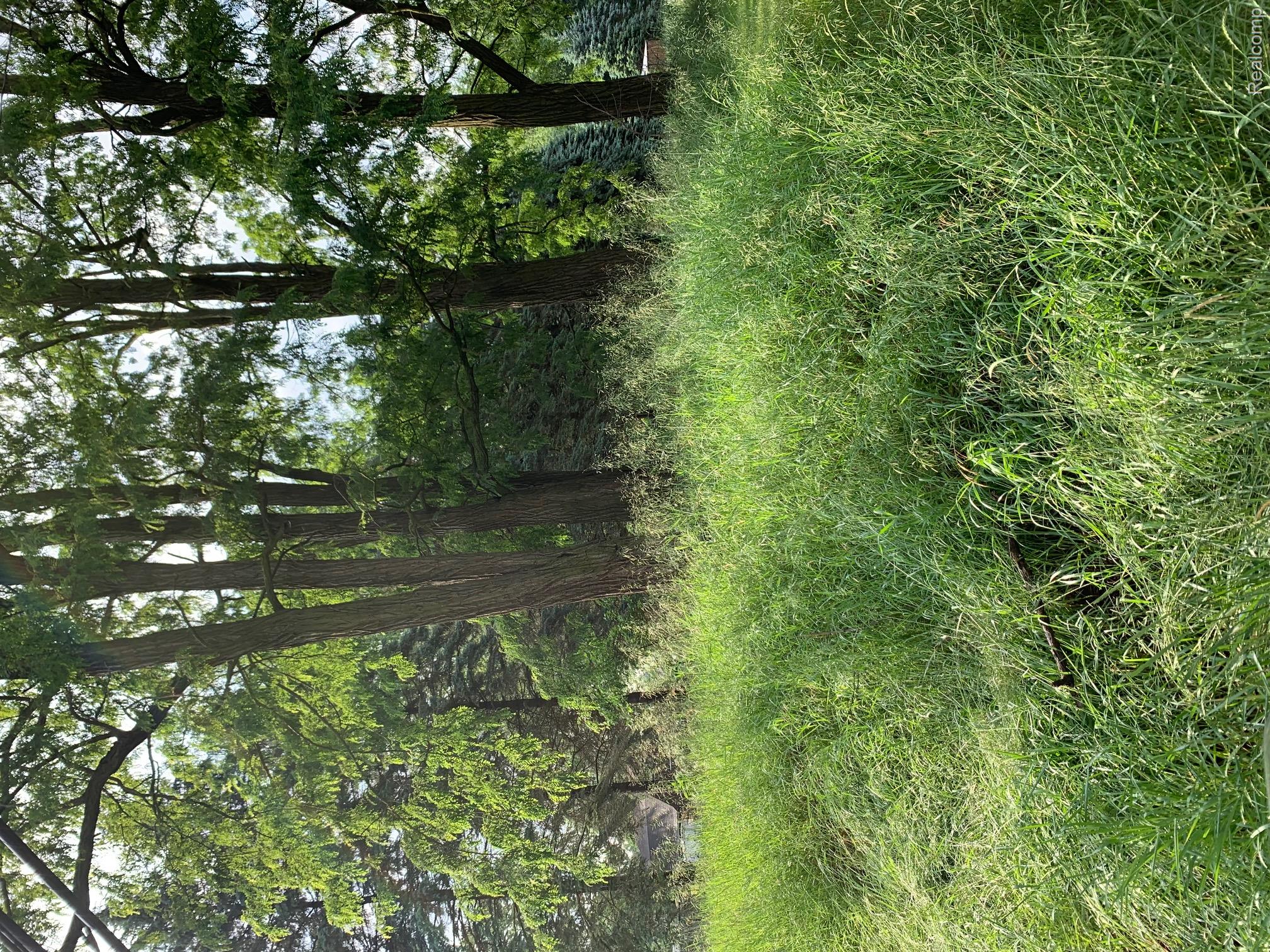 0 Silver Lake Road Property Photo 3