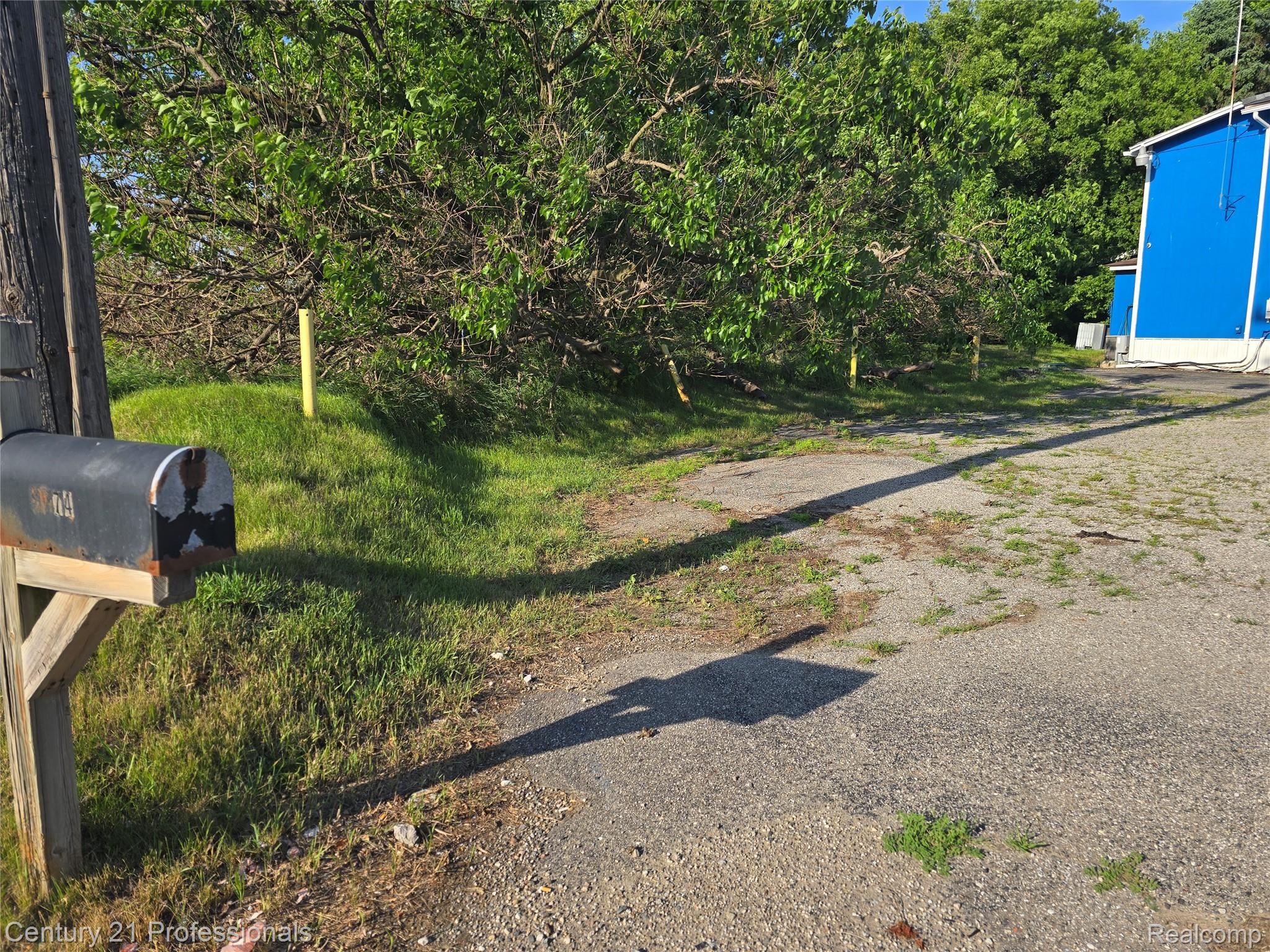 8774 Dixie Highway Property Photo 6