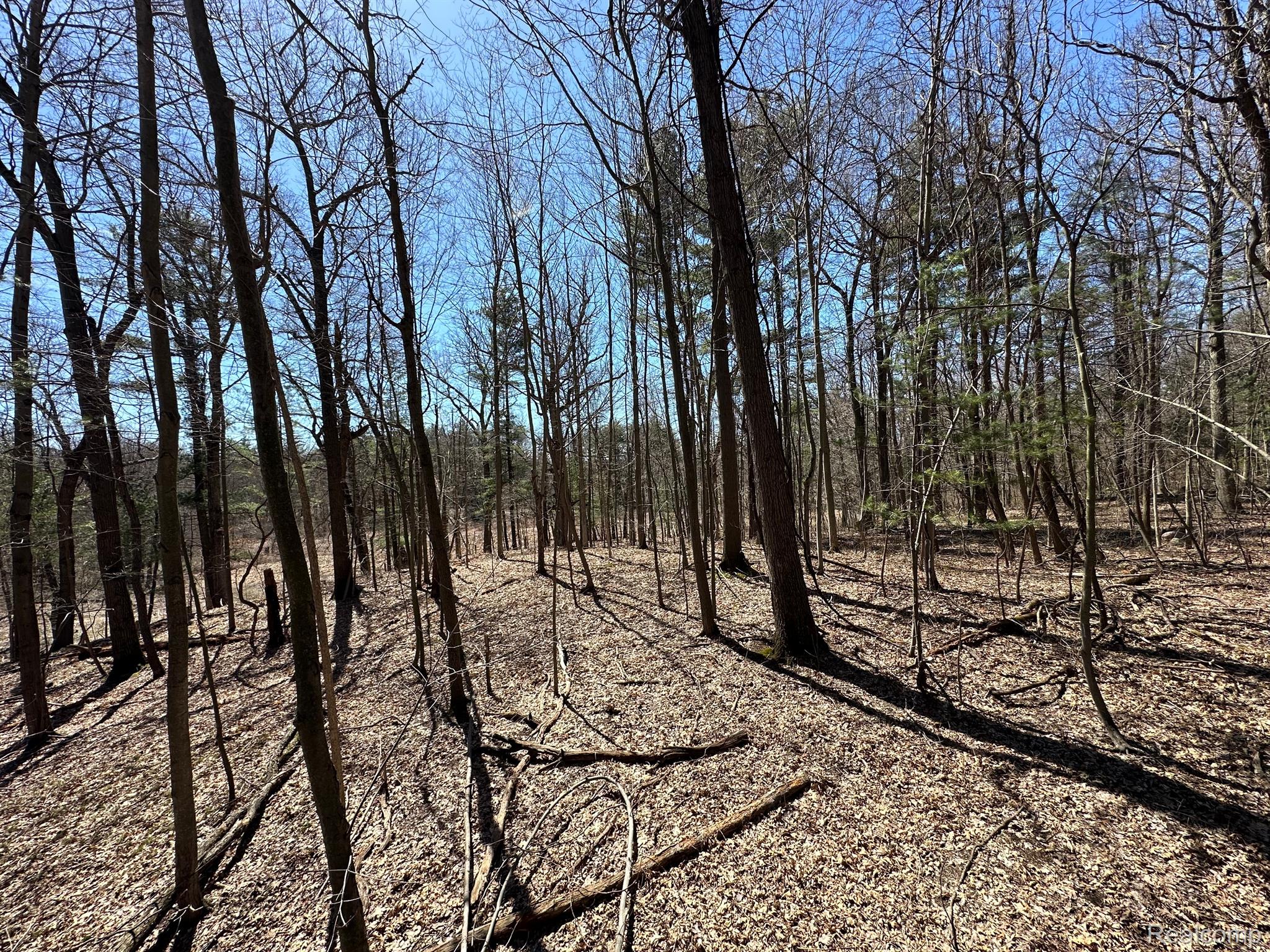 2.05 Acres Vl - Knights Bridge Road Property Photo 2