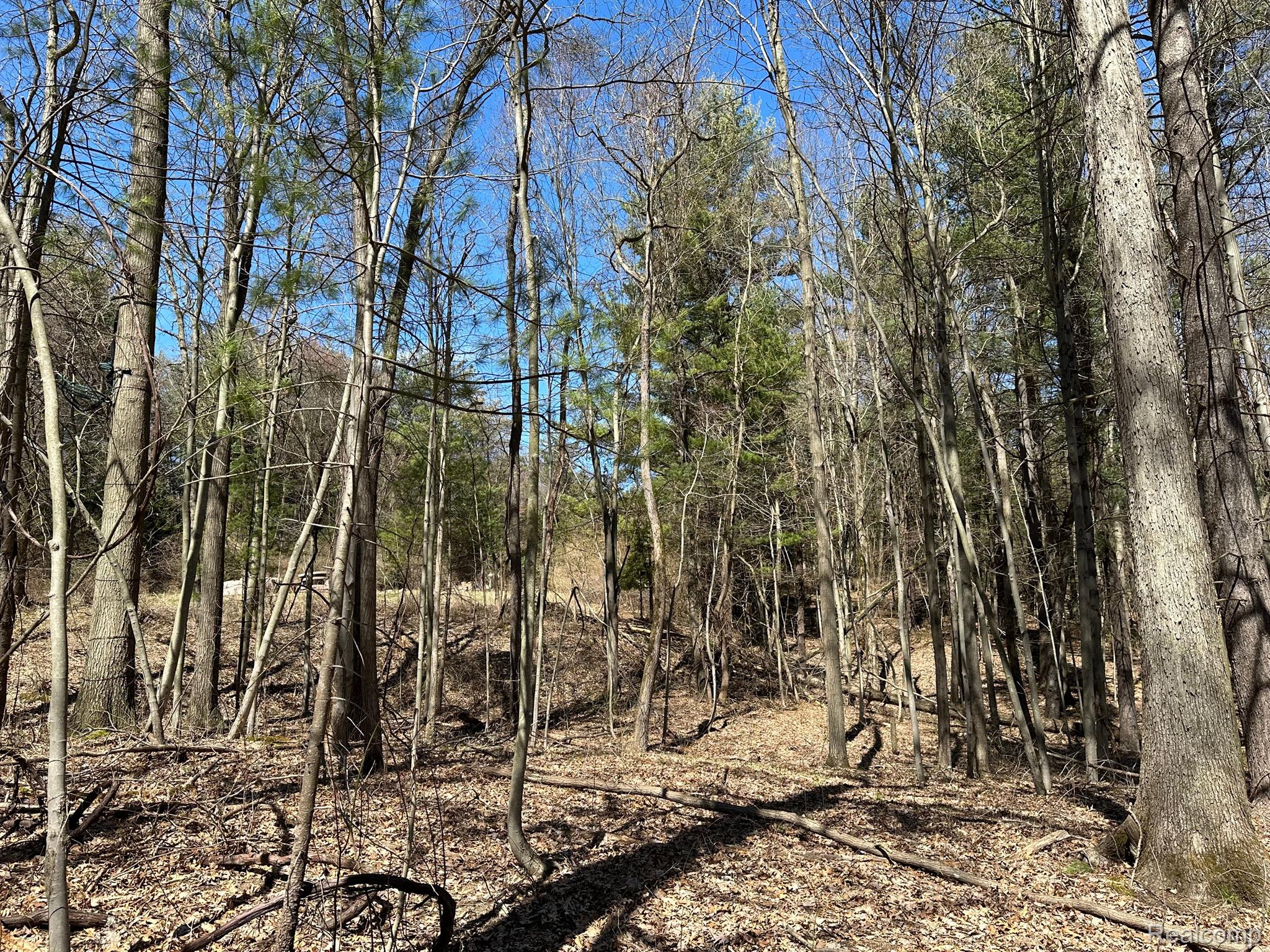 2.05 Acres Vl - Knights Bridge Road Property Photo 4