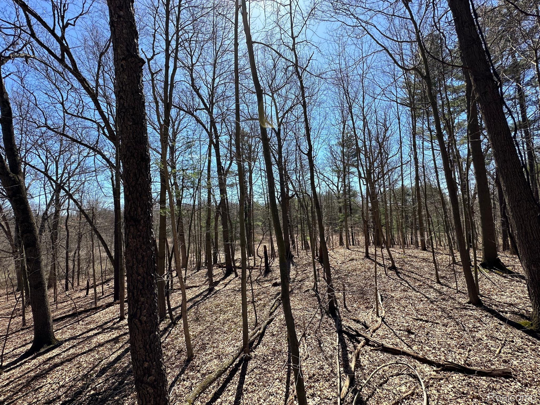 2.05 Acres Vl - Knights Bridge Road Property Photo 5