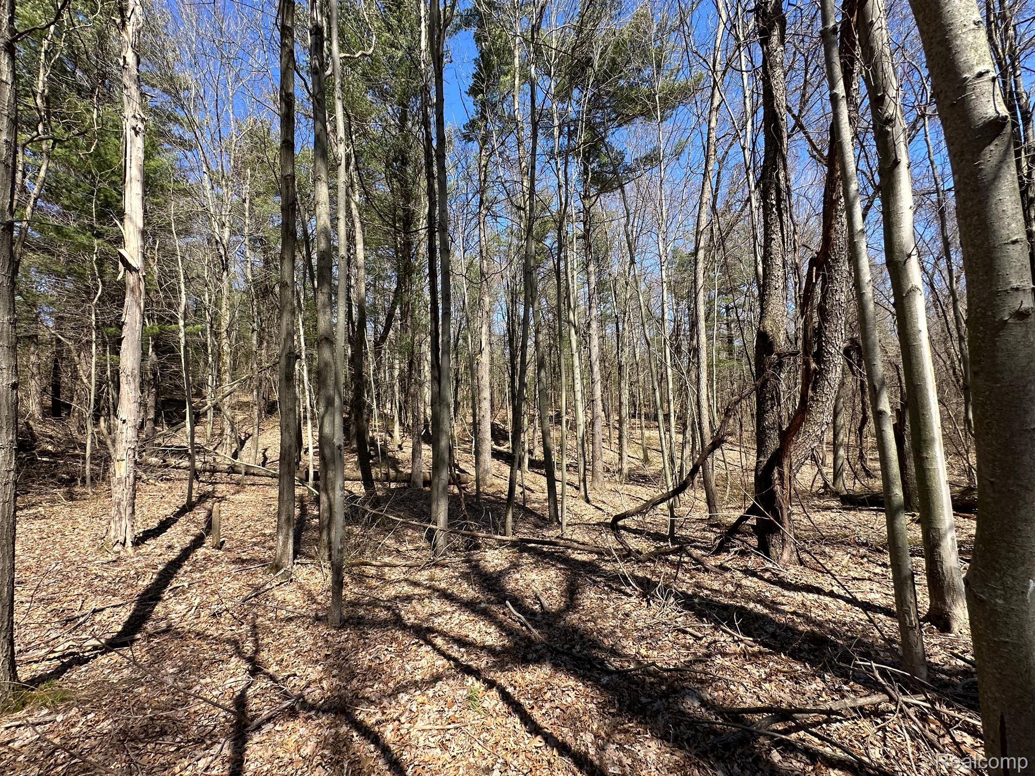 2.05 Acres Vl - Knights Bridge Road Property Photo 7