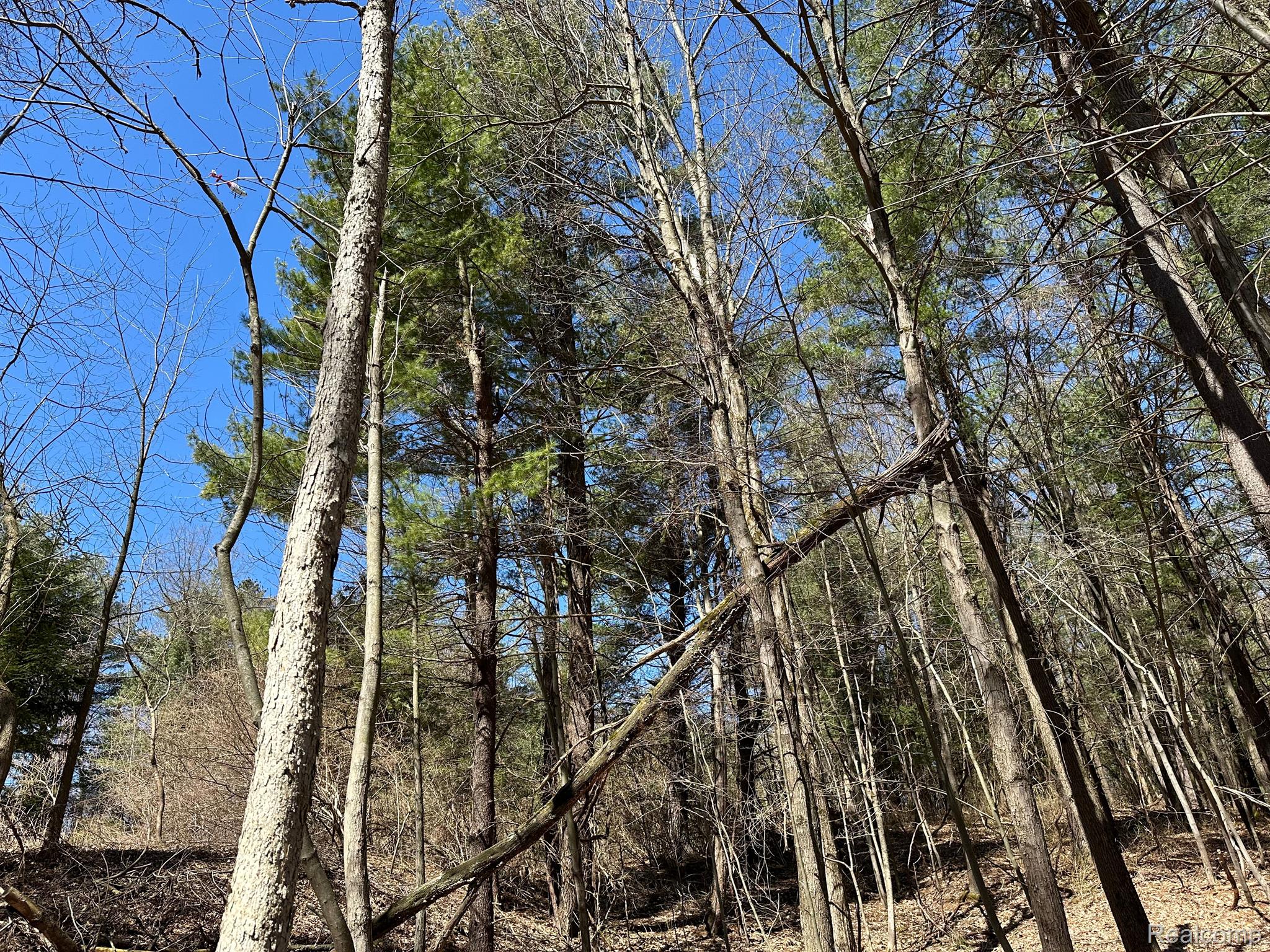 2.05 Acres Vl - Knights Bridge Road Property Photo 10