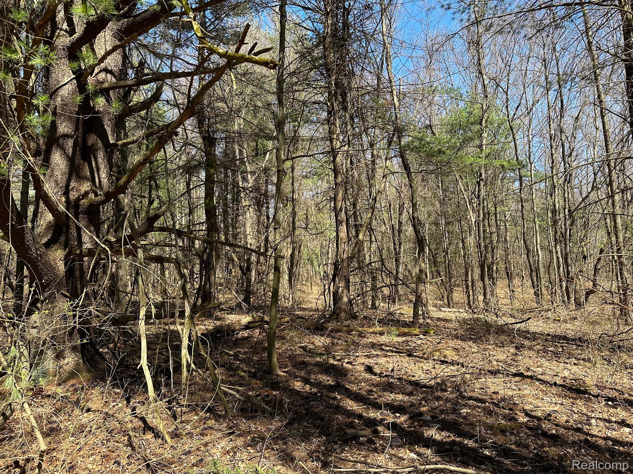 2.05 Acres Vl - Knights Bridge Road Property Photo 11