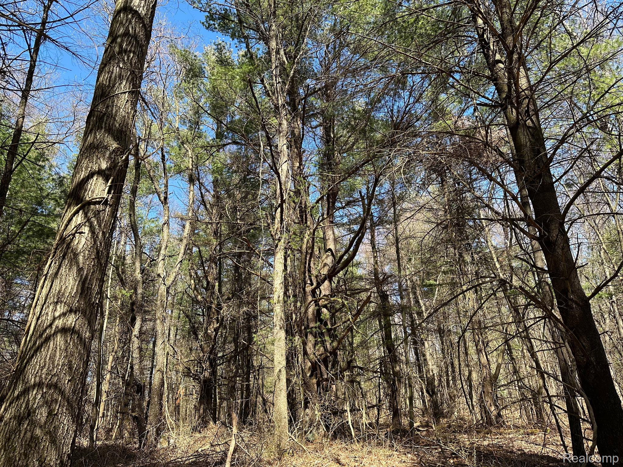 2.05 Acres Vl - Knights Bridge Road Property Photo 12