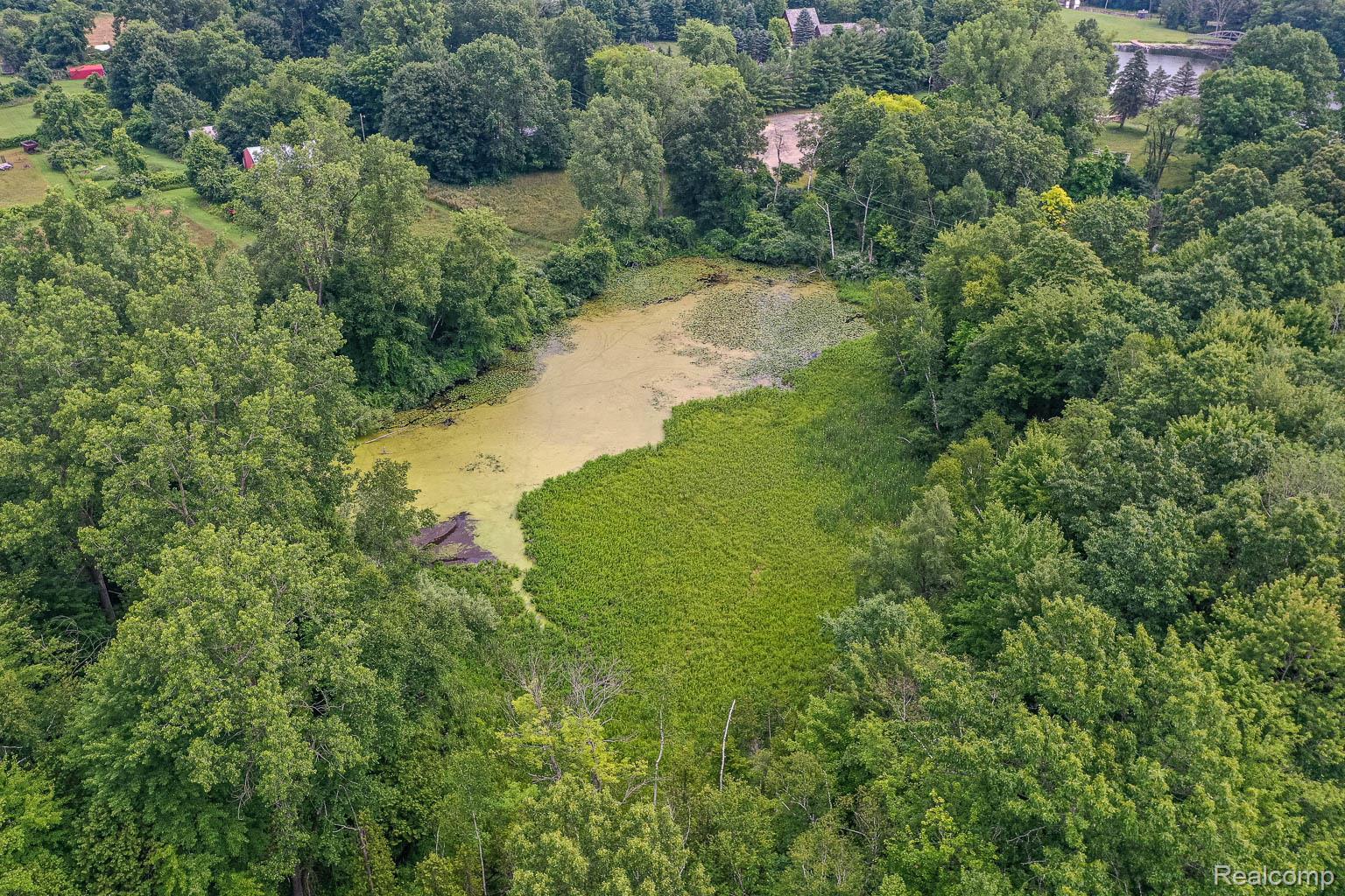 0 Pond Road Property Photo 7