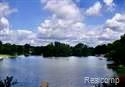 10418 King Road Property Photo 32