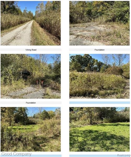 16295 Vining Road Property Photo 3
