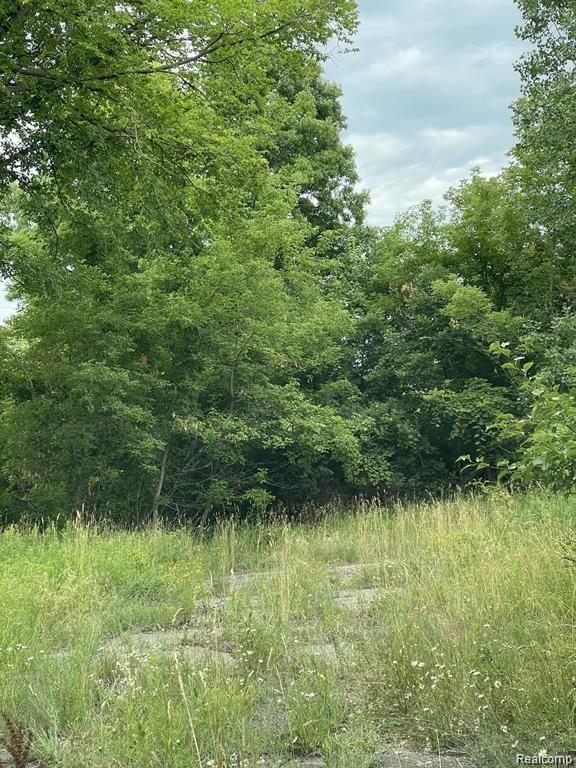 1646 N Milford Road Property Photo 6