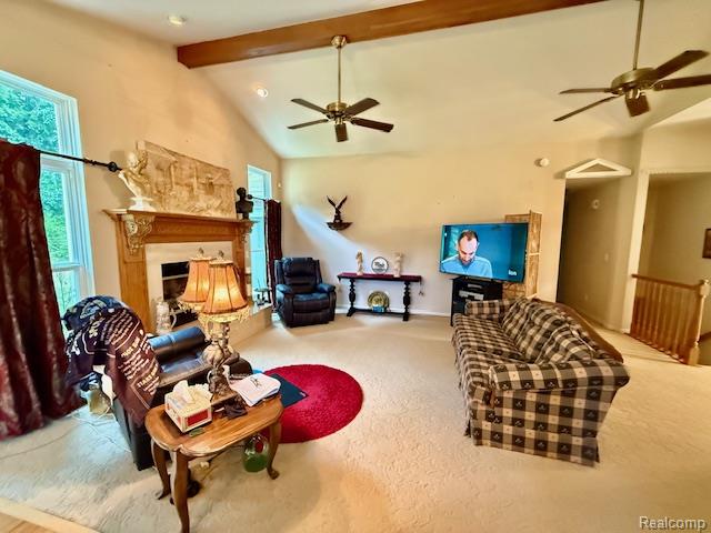 889 Cronkite Drive Property Photo 11
