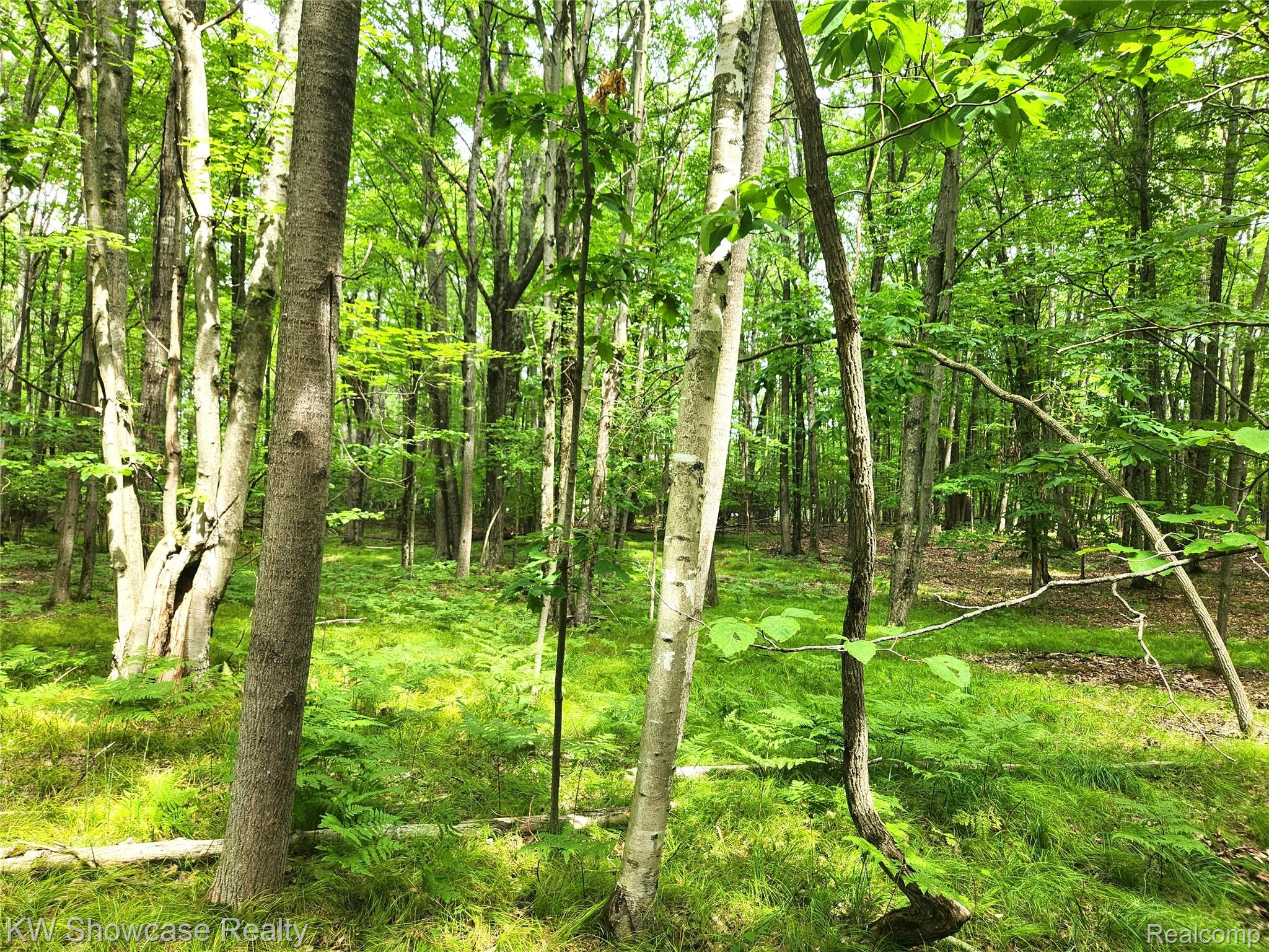 000 Red Fox Run Property Photo 3