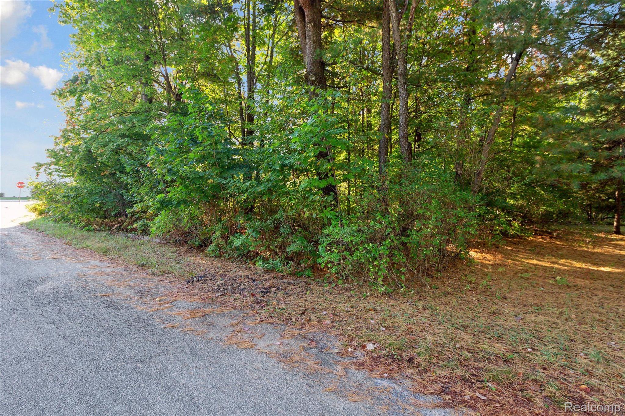 1043 Noirot Street Property Photo 4