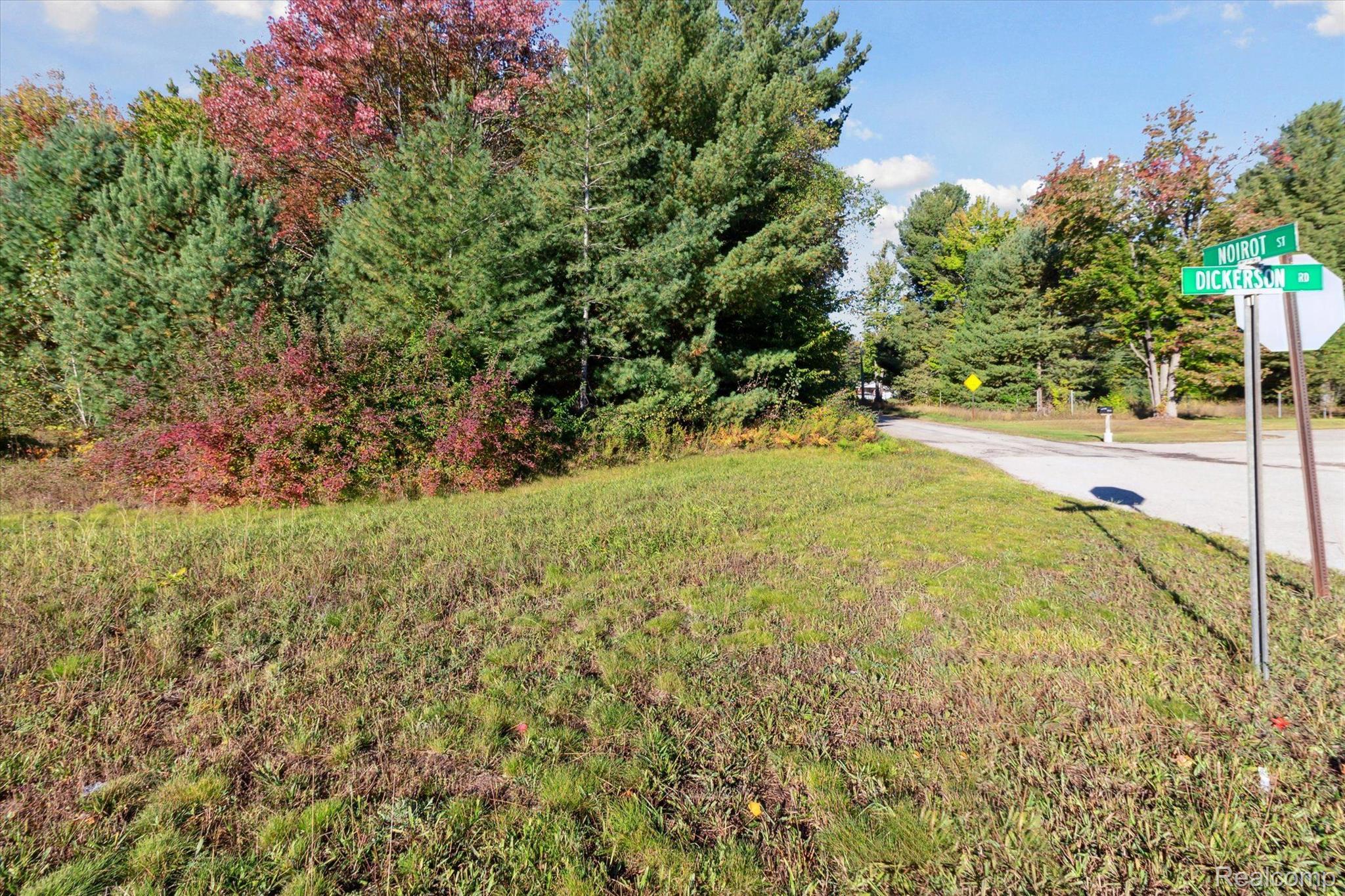 1043 Noirot Street Property Photo 7