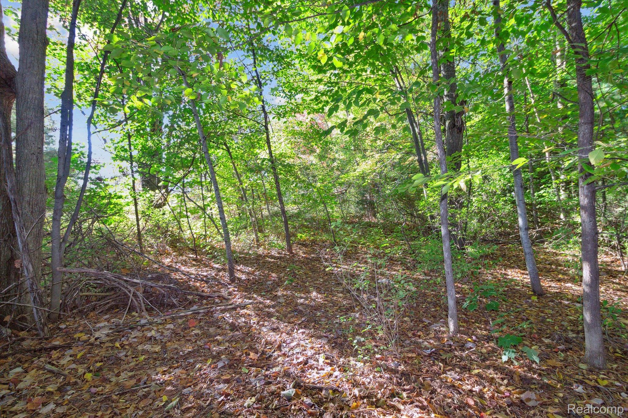 1043 Noirot Street Property Photo 13
