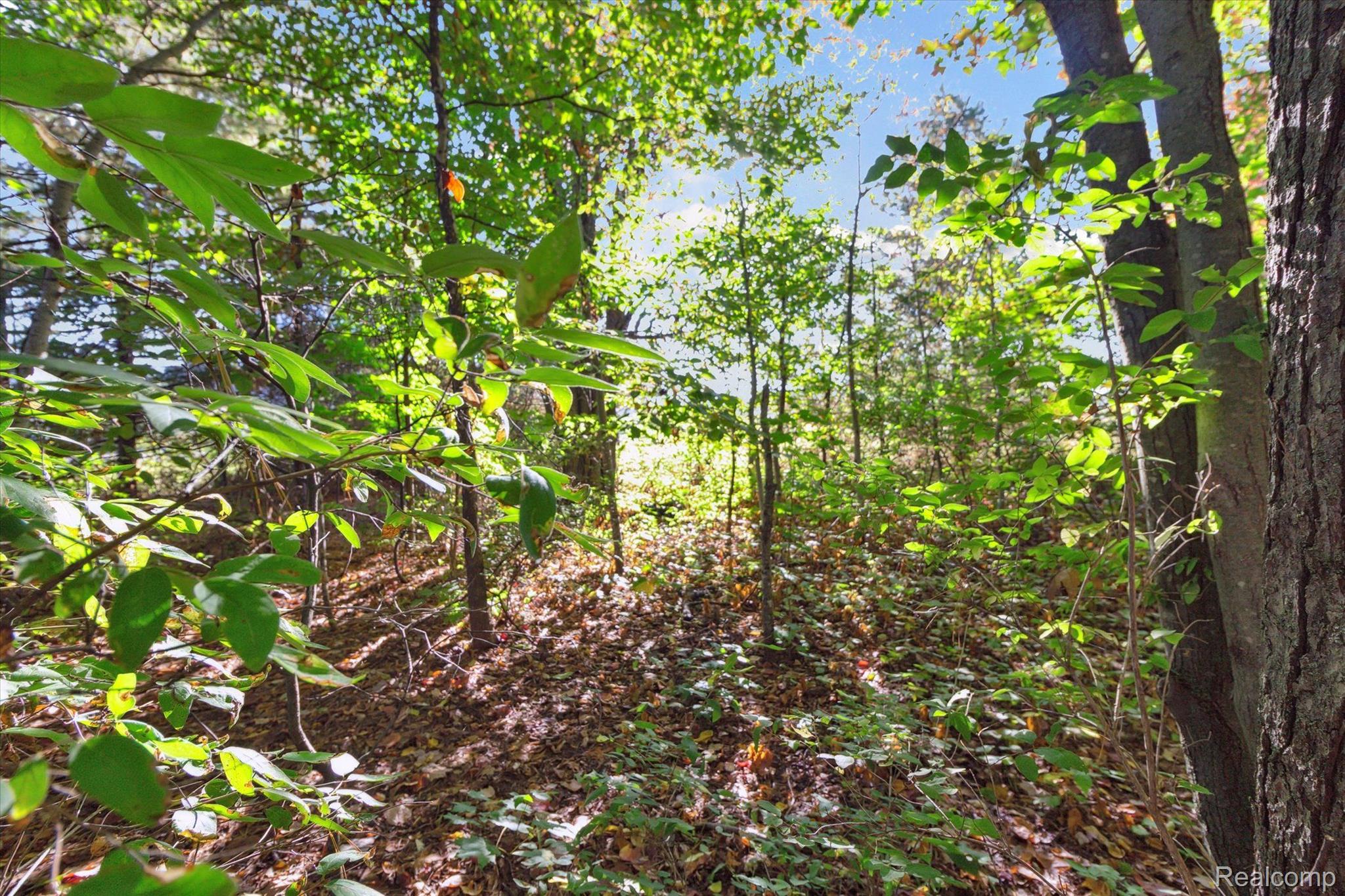 1043 Noirot Street Property Photo 14