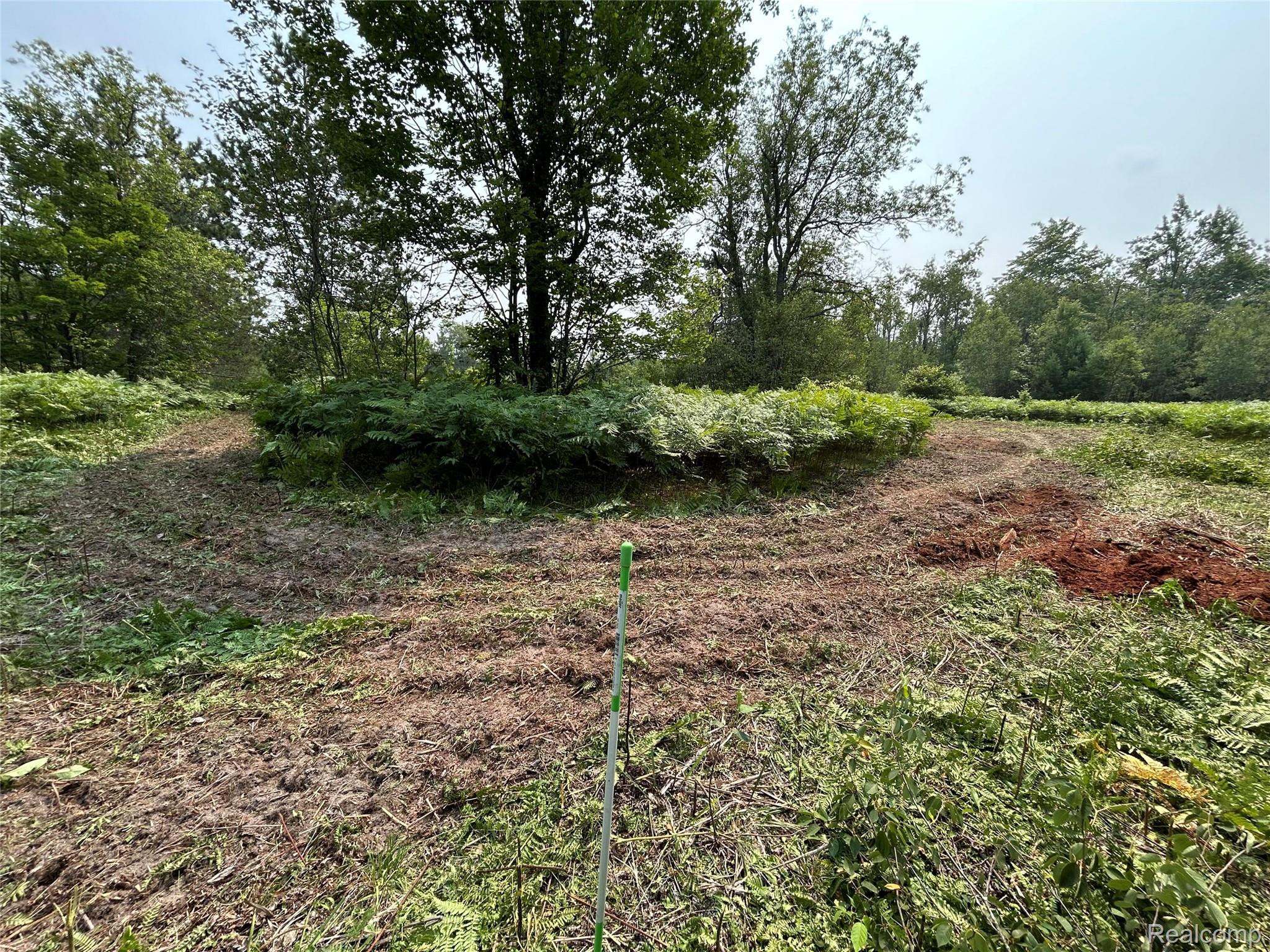 6658 Brookfield Court Property Photo 3
