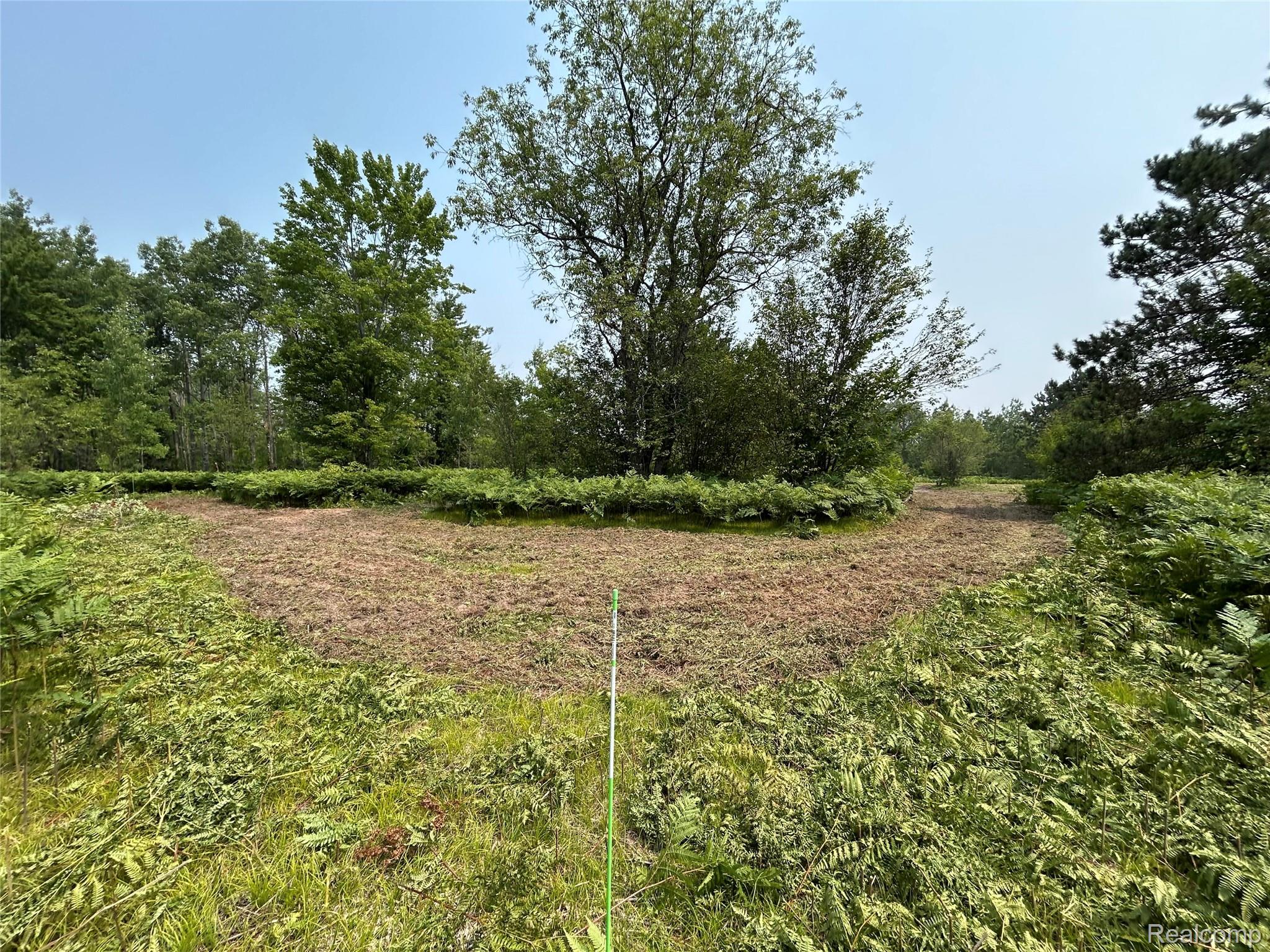 6658 Brookfield Court Property Photo 4