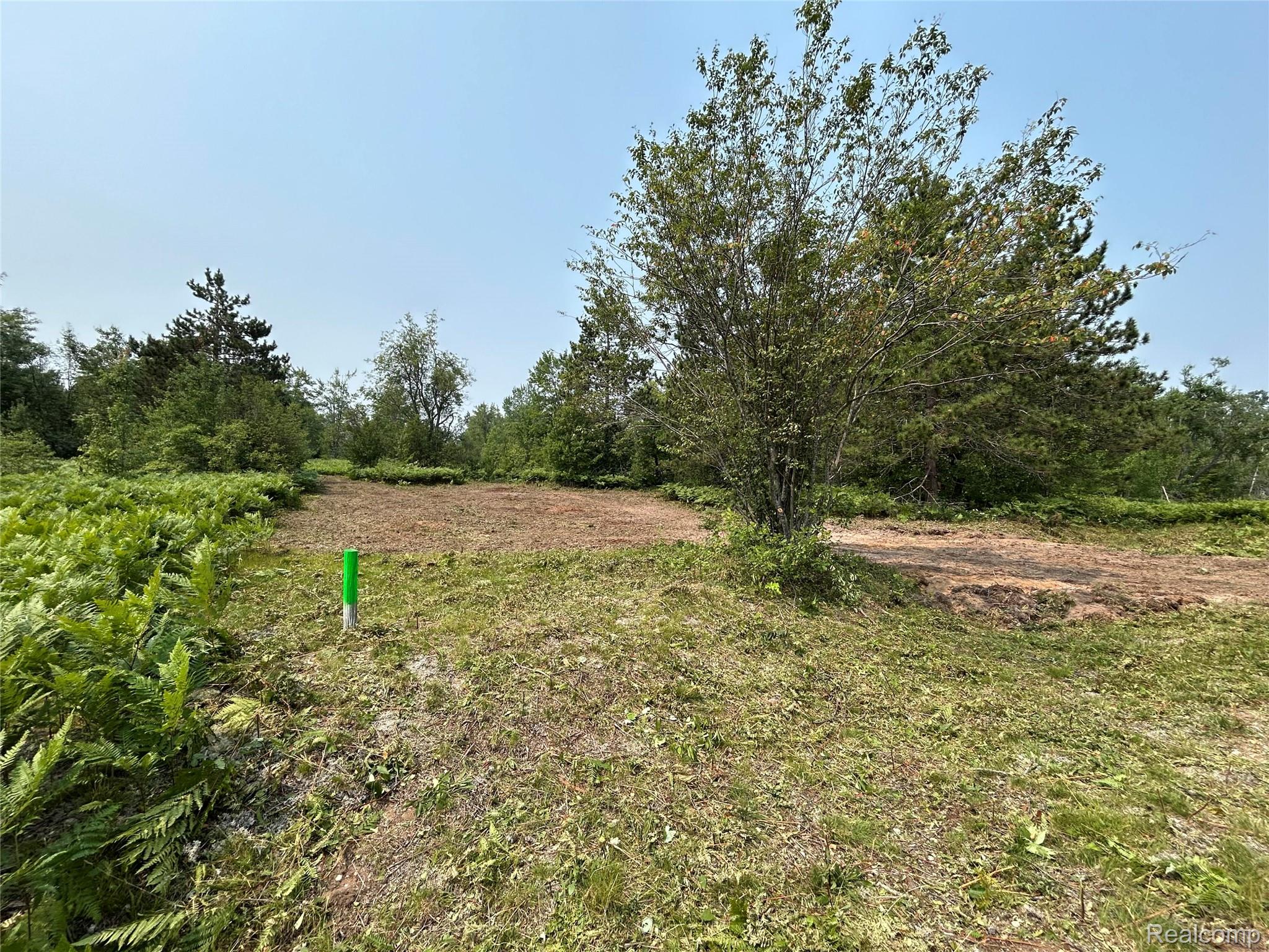 6658 Brookfield Court Property Photo 5