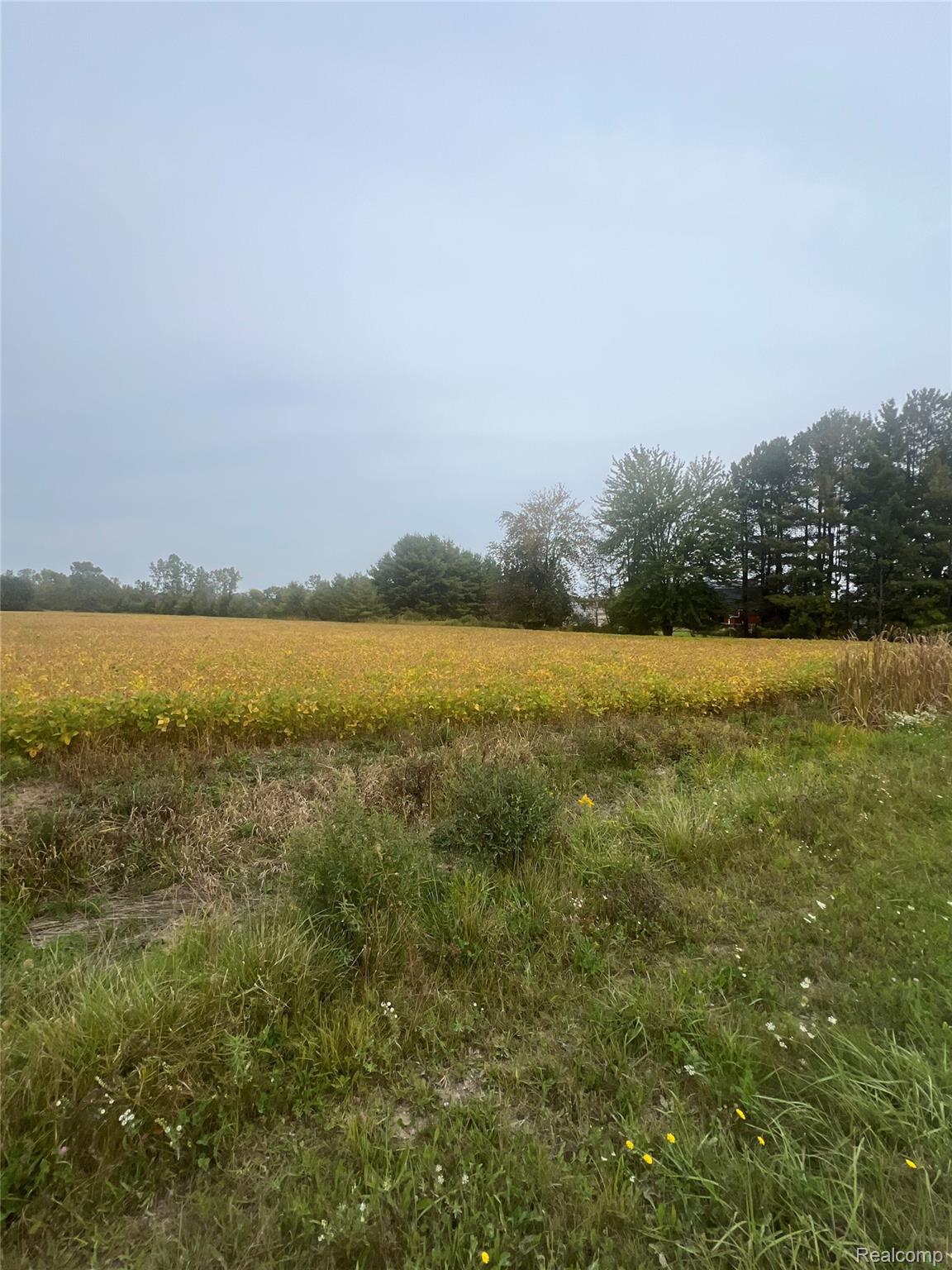 00 Meskill Road Property Photo 15