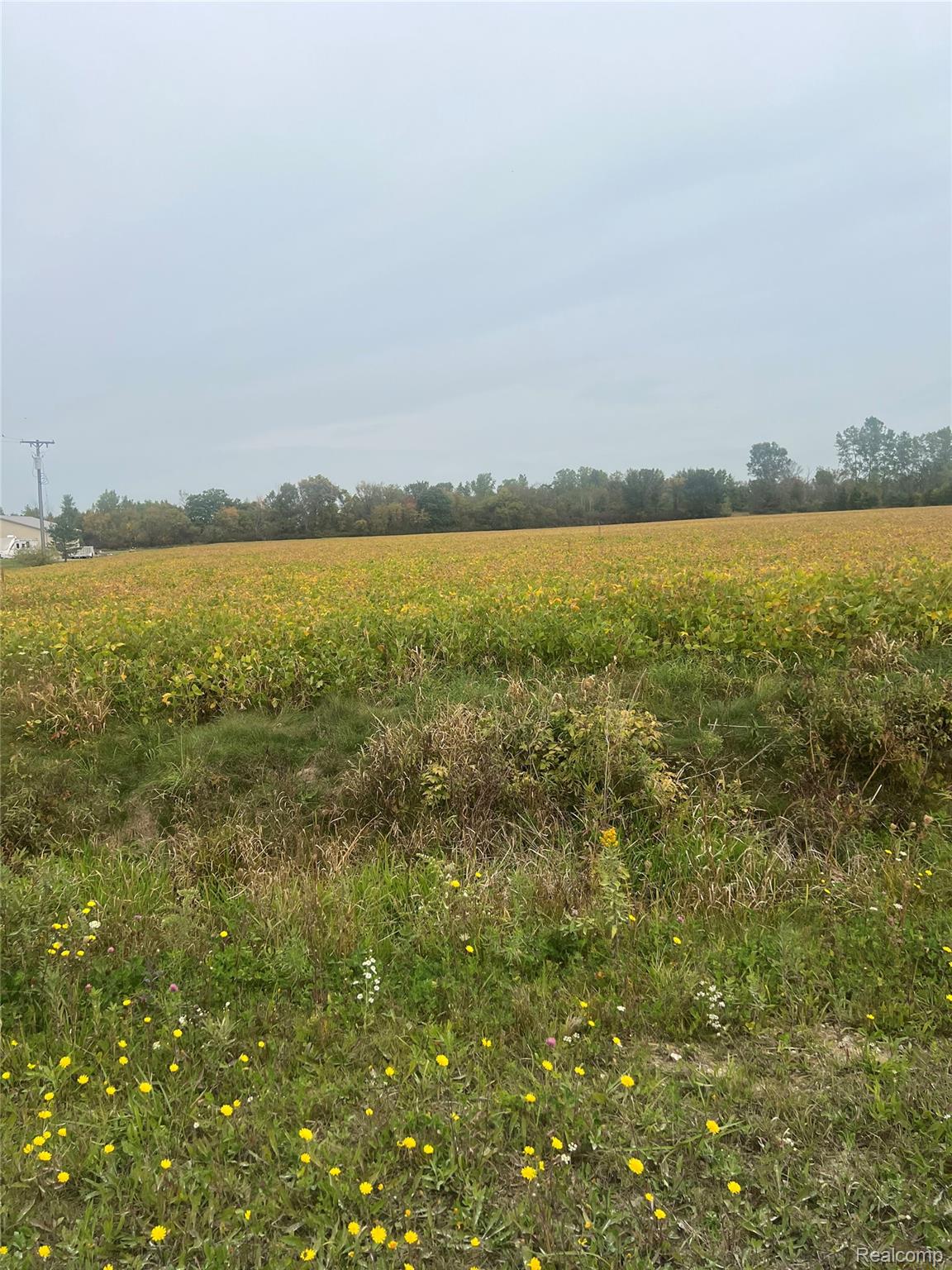 00 Meskill Road Property Photo 16