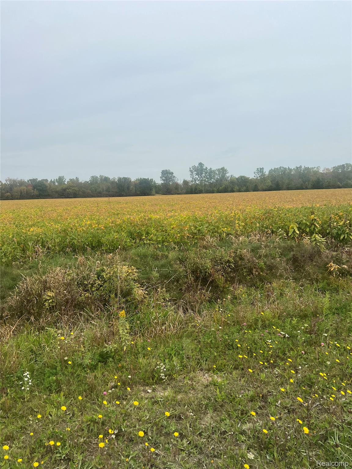 00 Meskill Road Property Photo 18
