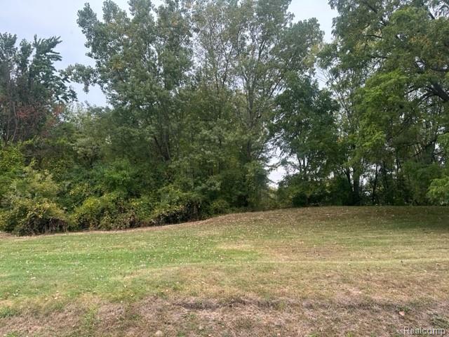 Lot A Chapin Street Property Photo 3