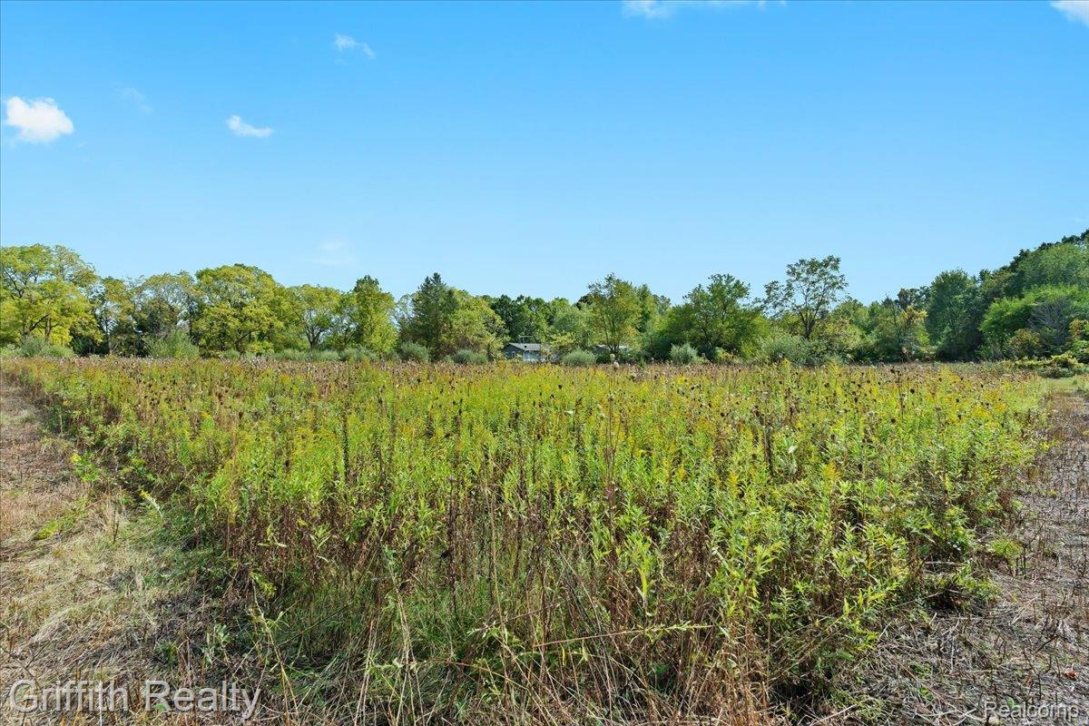 9800 Beeman Road Property Photo 4