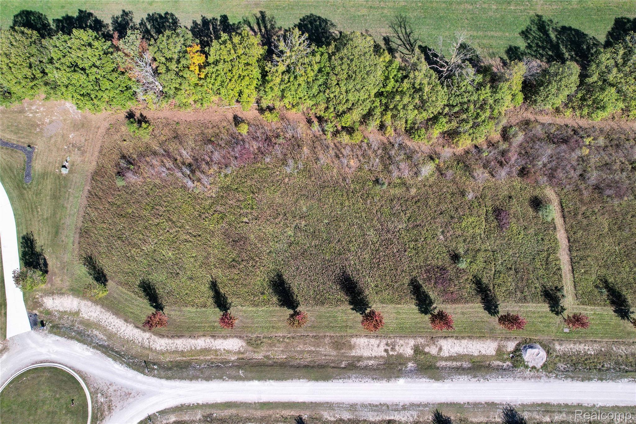 24437 Murray Lot B Drive Property Photo 7