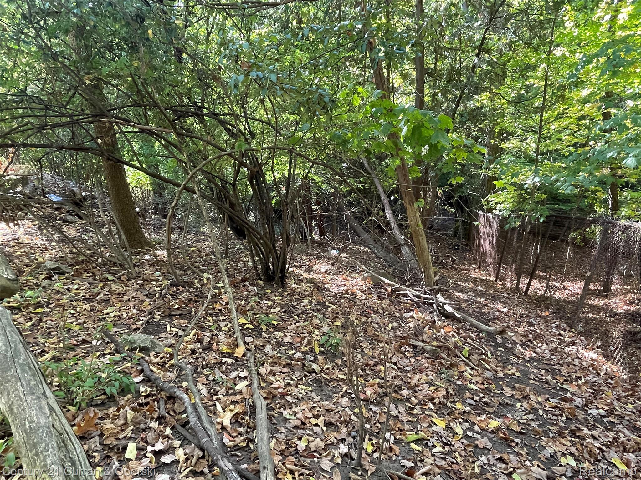 22321 Margareta Street Property Photo 4