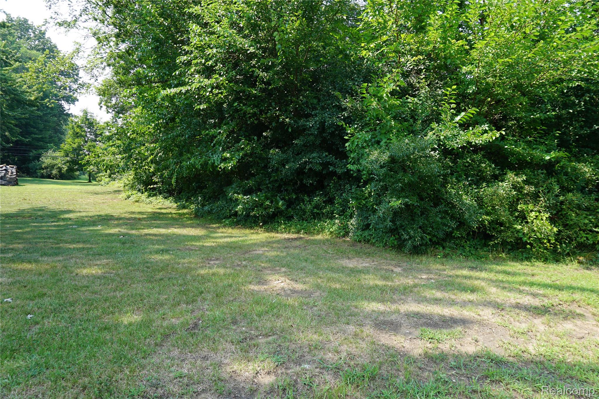 Vacant Wayne Road Property Photo 1